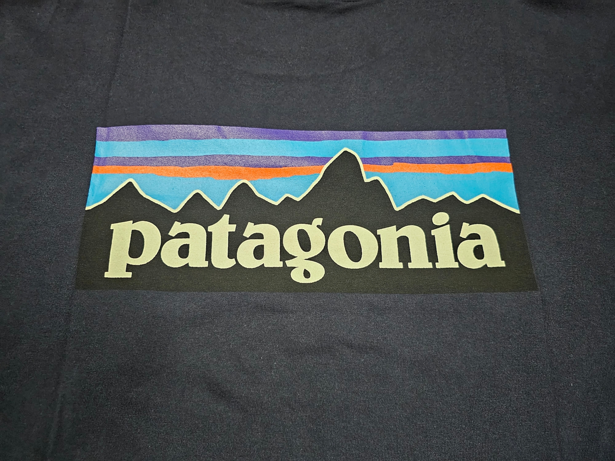 Patagonia P-6 Logo Responsibili-Tee S/S Classic Navy 착용 스타일