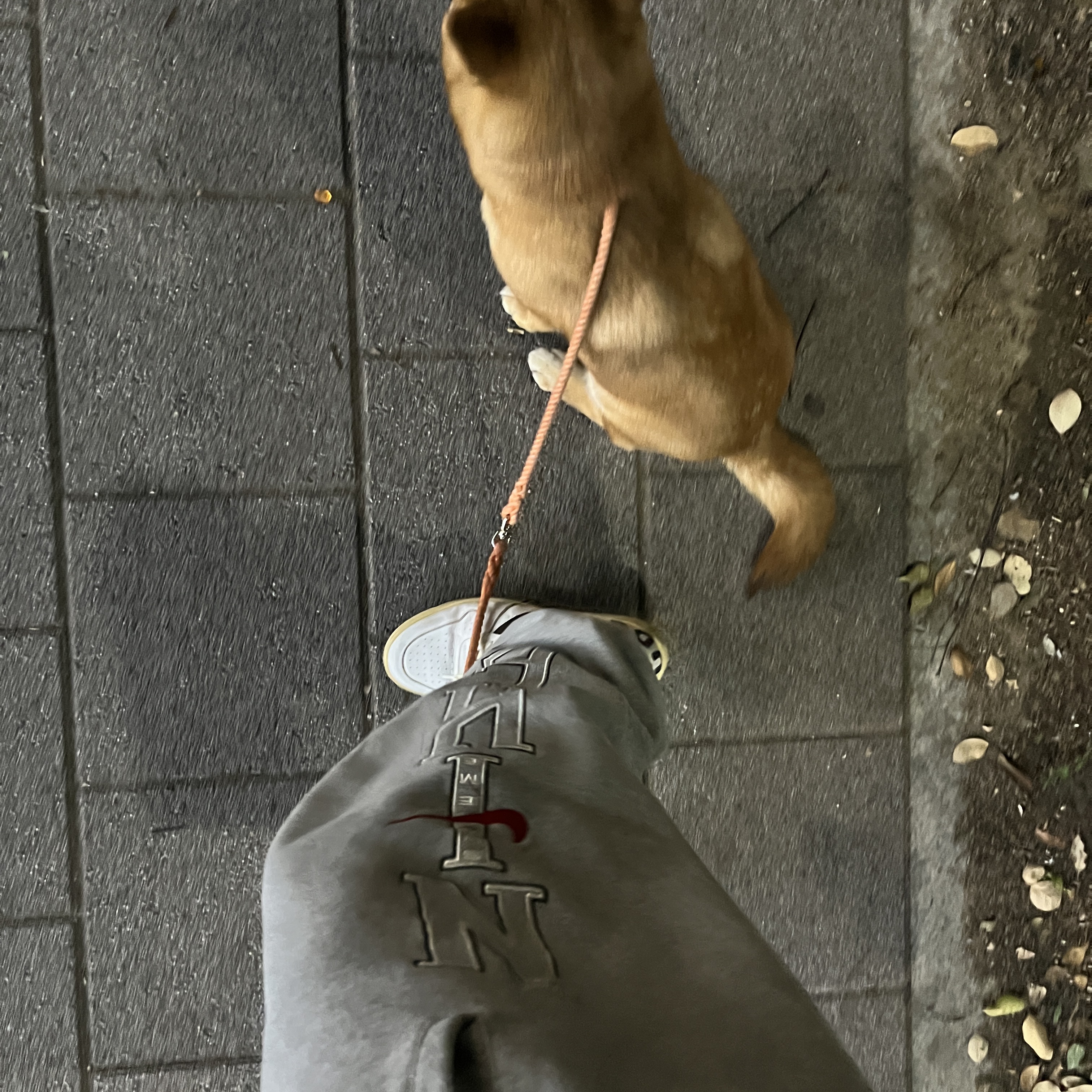 Supreme x Nike Sweatpant Heather Grey - 24SS 착용 스타일 - 3