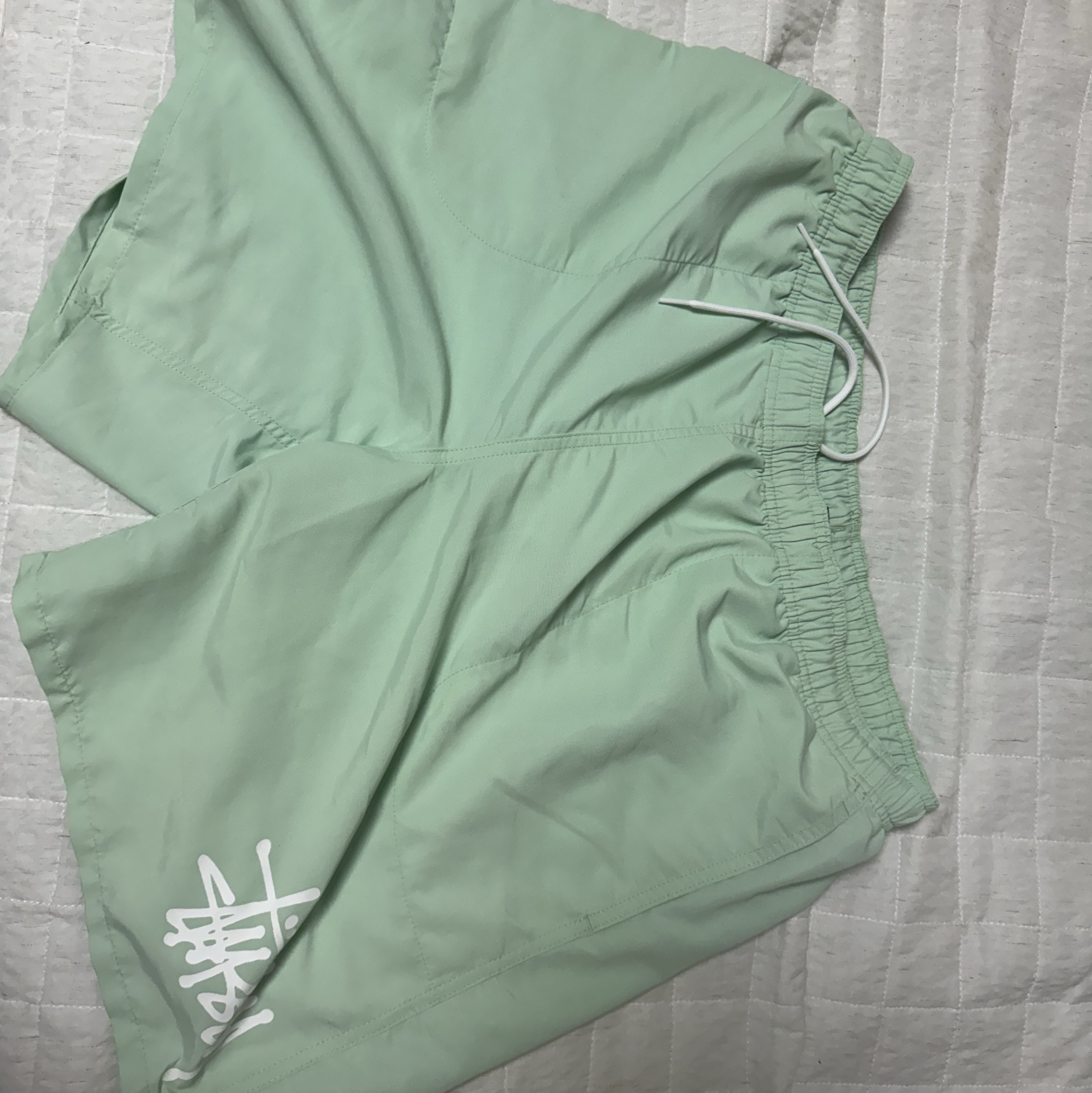 Stussy Big Basic Water Shorts Mint 착용 스타일