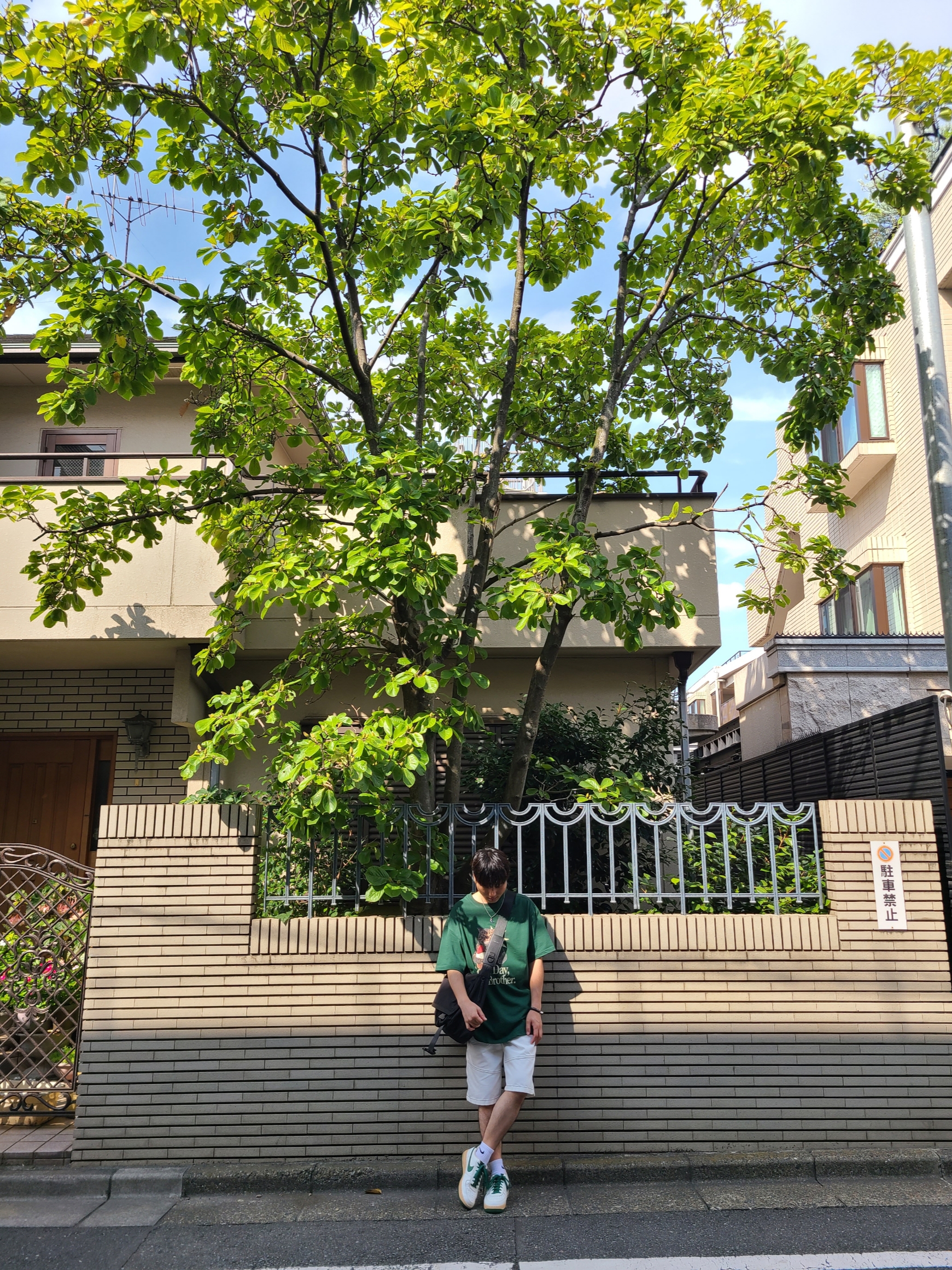 (W) Nike Air Force 1 Low Gorge Green 착용 스타일 - 3