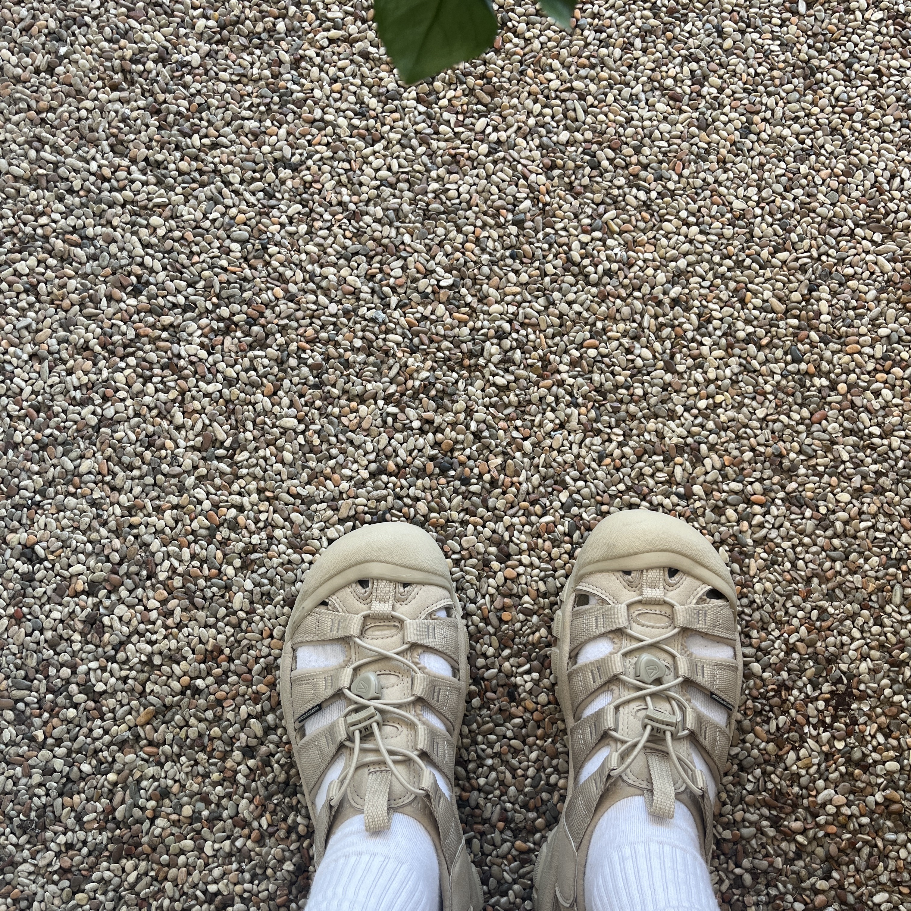 Keen Newport H2 Monochrome Safari 착용 스타일 - 3