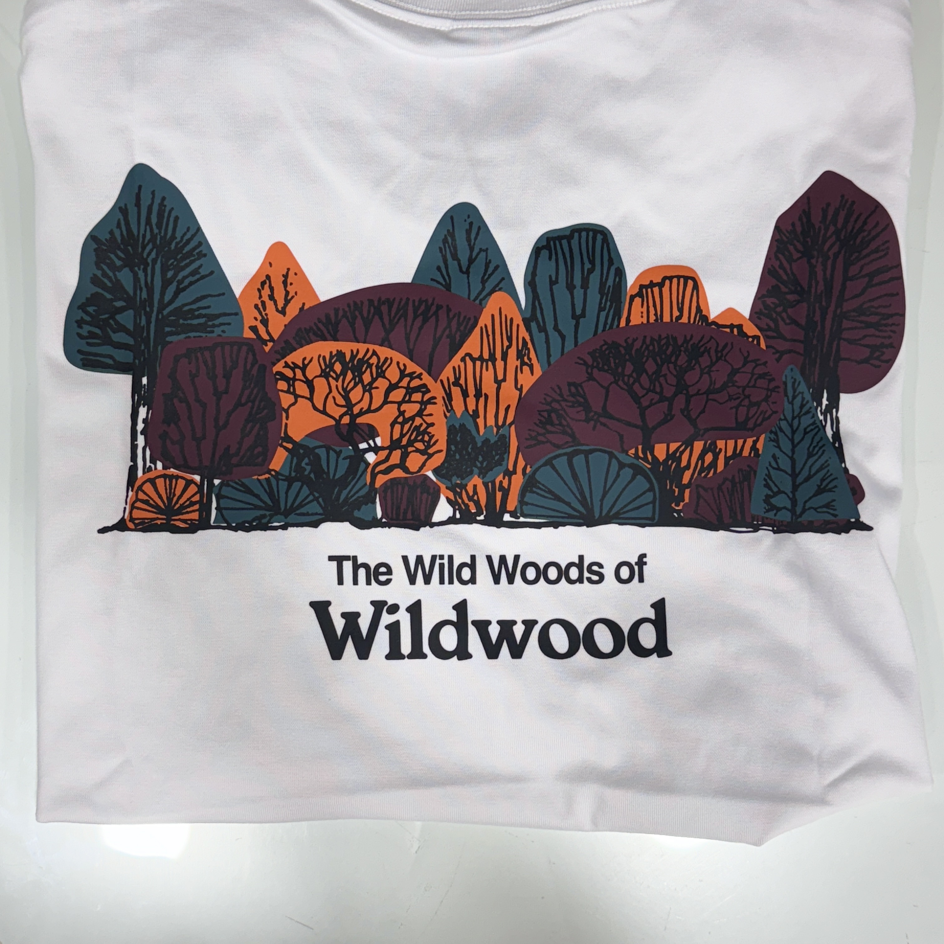 Nike ACG Wildwood T-Shirt Summit White - US/EU 착용 스타일 - 1