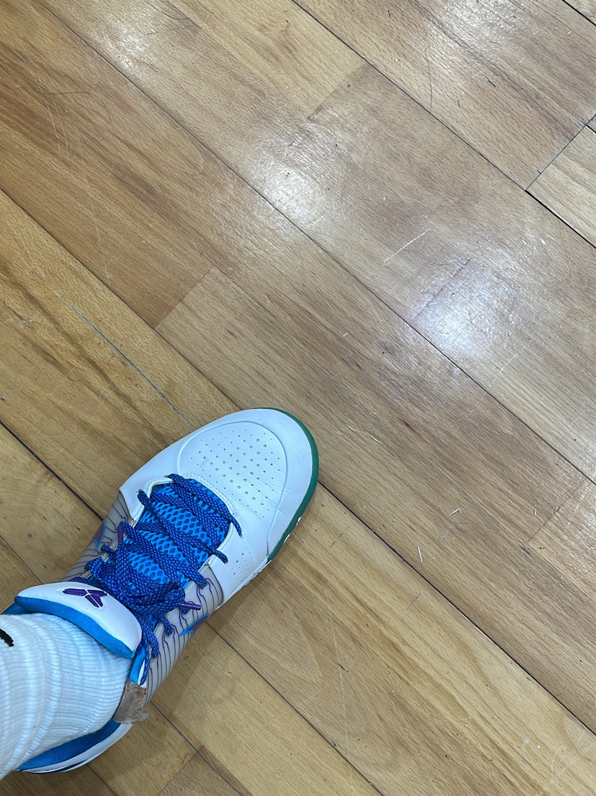 Nike Kobe 4 Protro Draft Day Hornets 착용 스타일