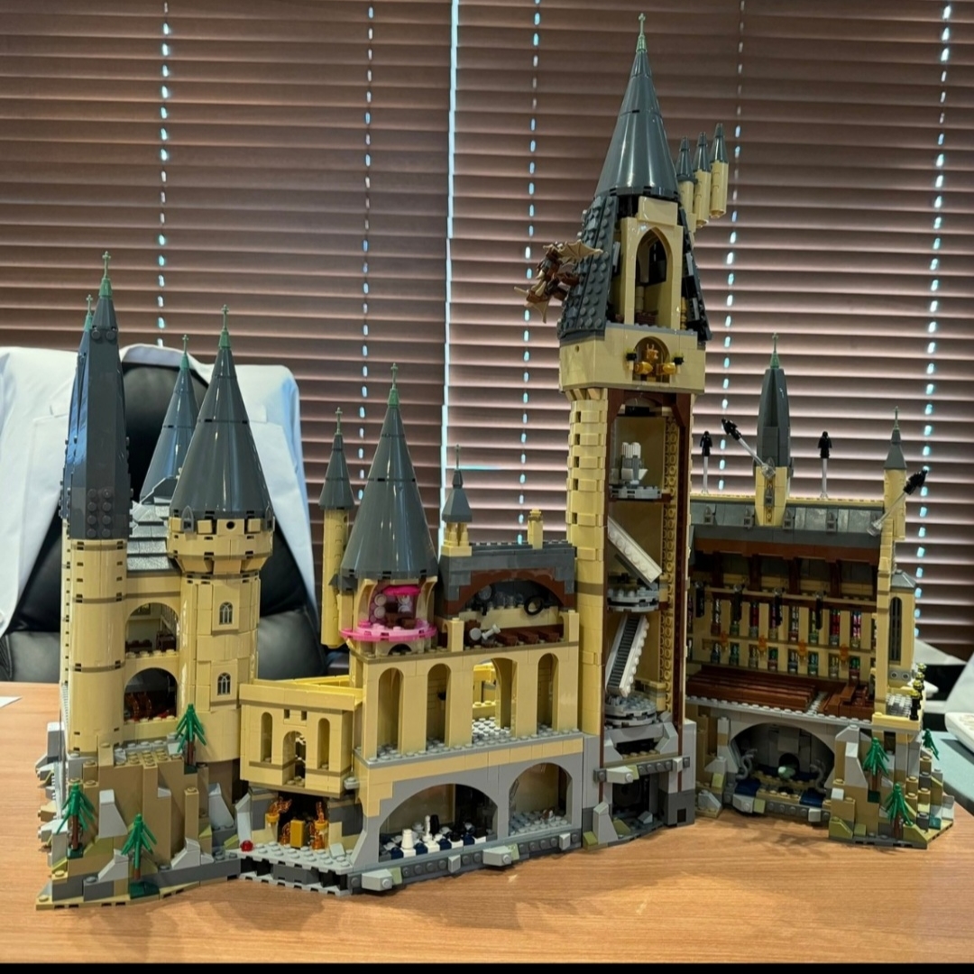 Lego Harry Potter Hogwarts Castle and Grounds 착용 스타일
