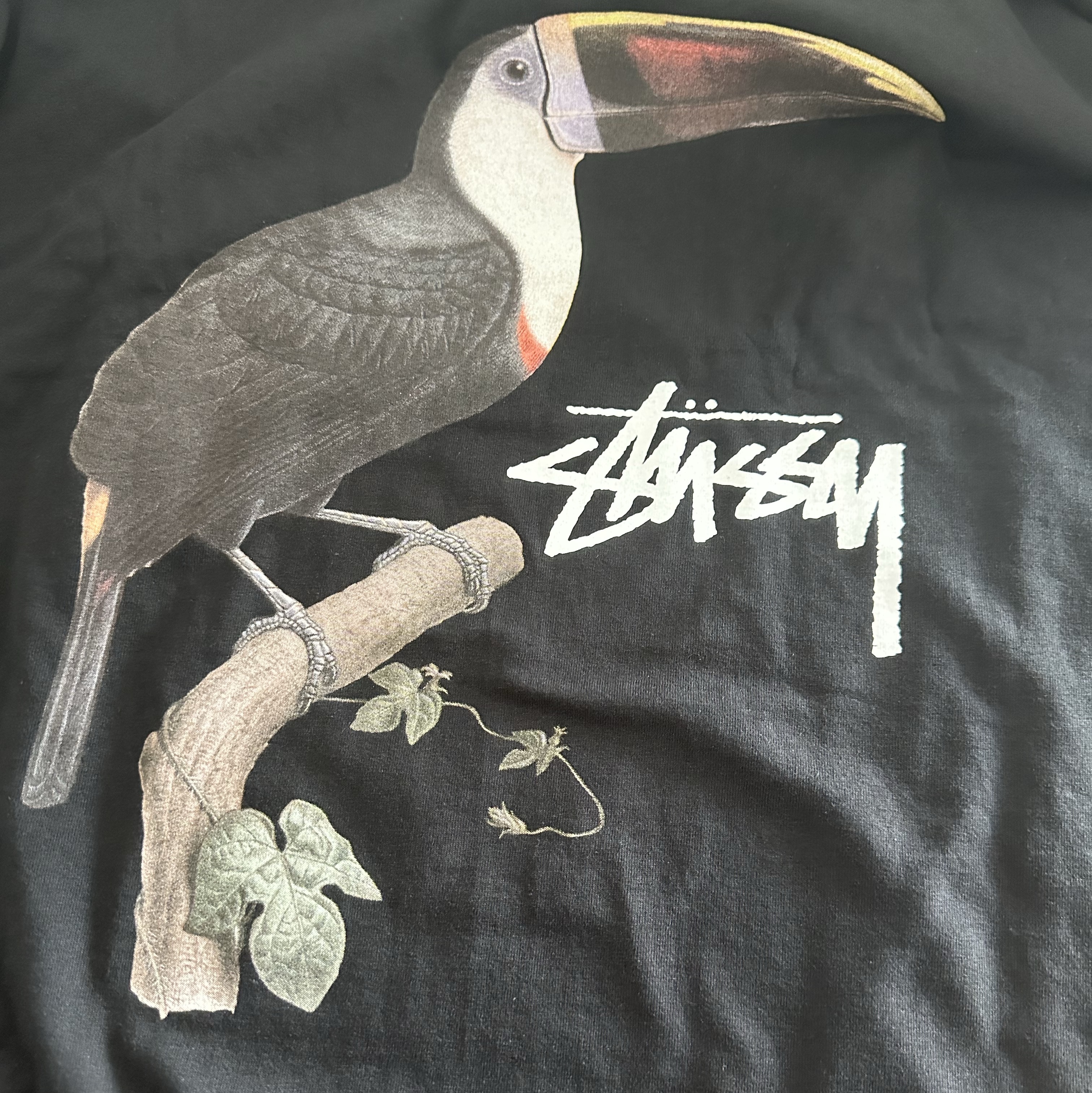Stussy Toucan T-Shirt Black 착용 스타일