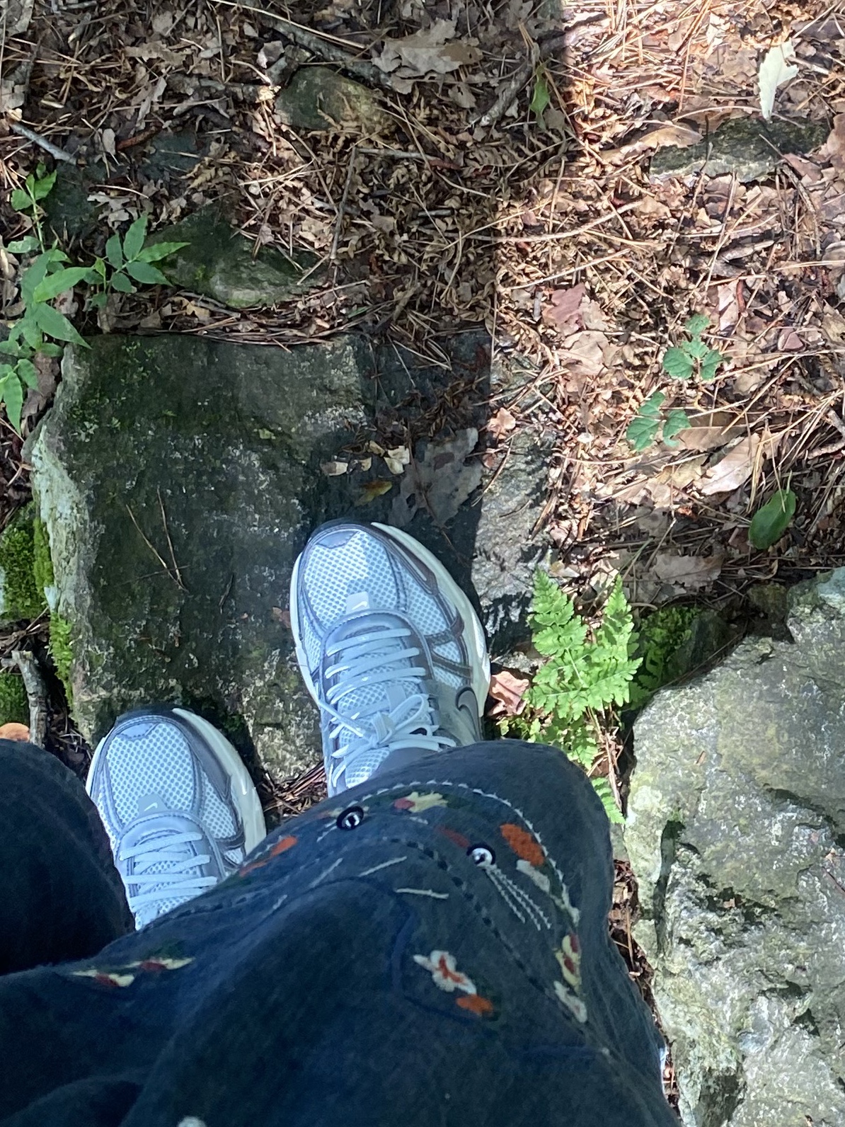 Nike V2K Run Pure Platinum Wolf Grey 착용 스타일 - 2
