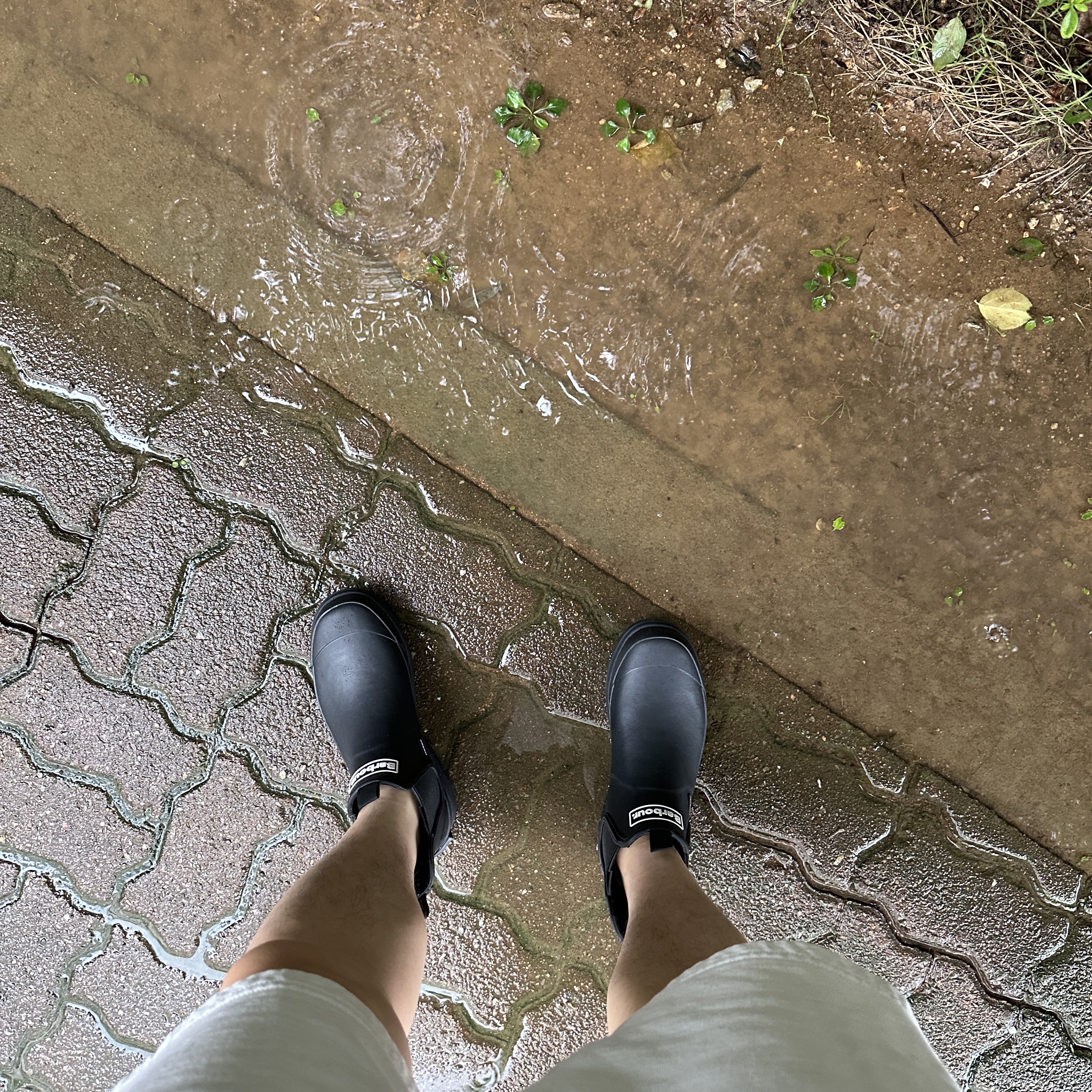 Barbour Nimbus Wellingtons Black 착용 스타일