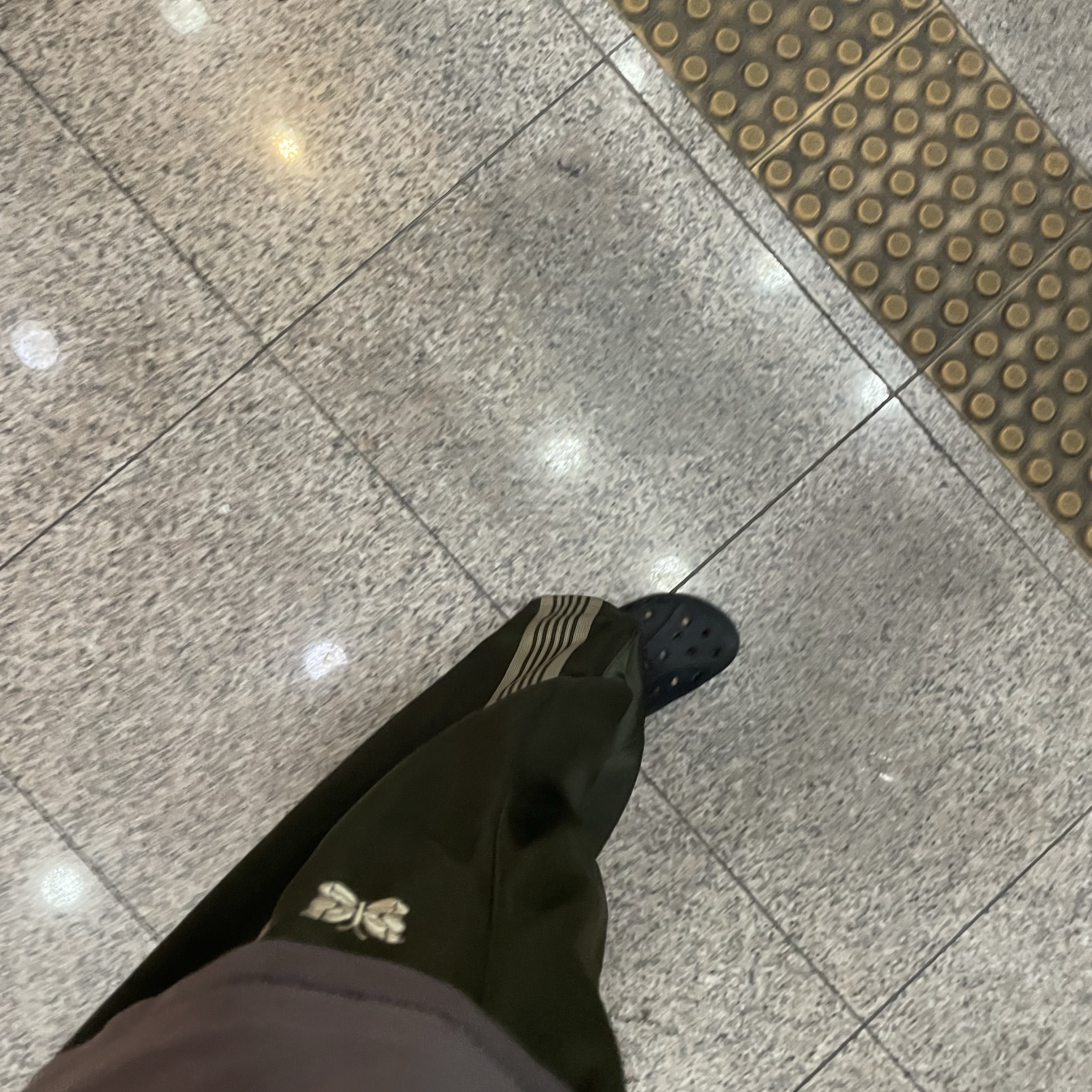 Needles x LHP H.D. Track Pants Poly Smooth Wide Olive 착용 스타일