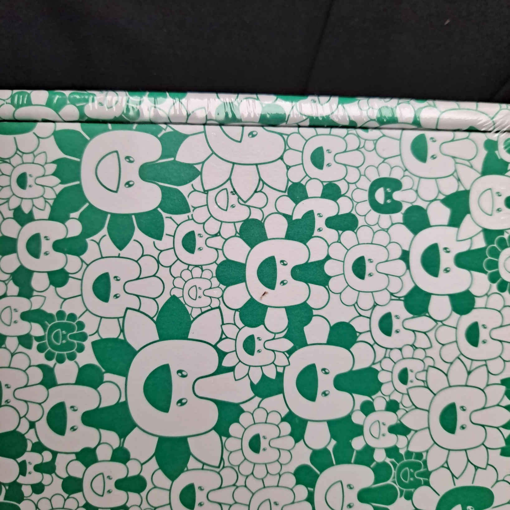 NewJeans Supernatural NJ x Murakami Cross Bag Green (Haerin Ver.) 착용 스타일