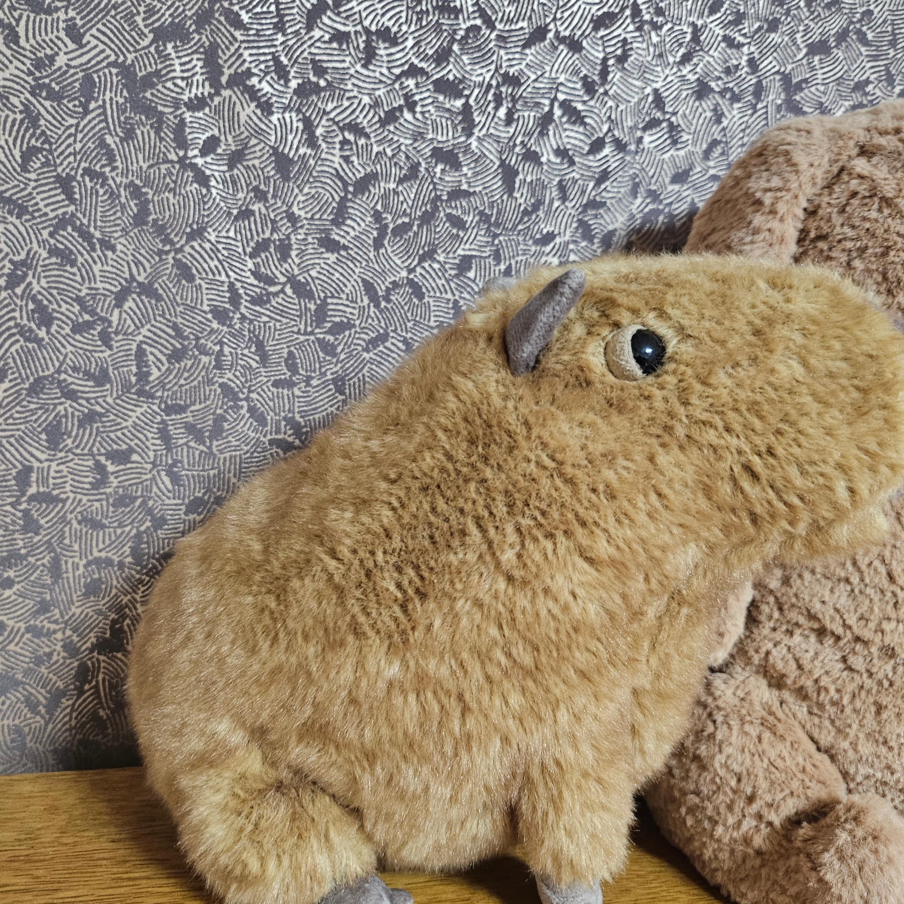 Jellycat Clyde Capybara Brown 착용 스타일