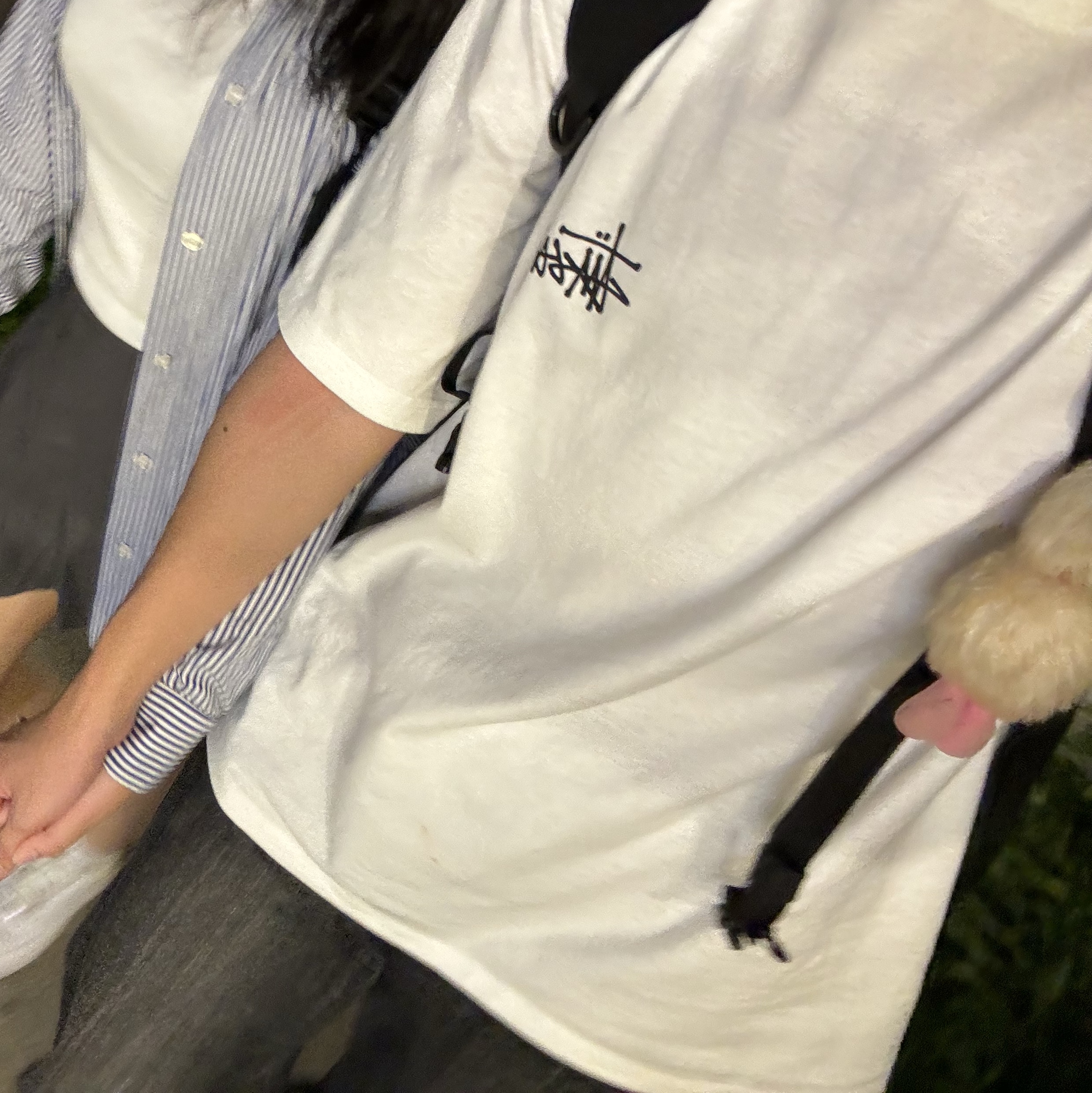 Stussy Basic Stussy T-Shirt White 2024, 2025 착용 스타일