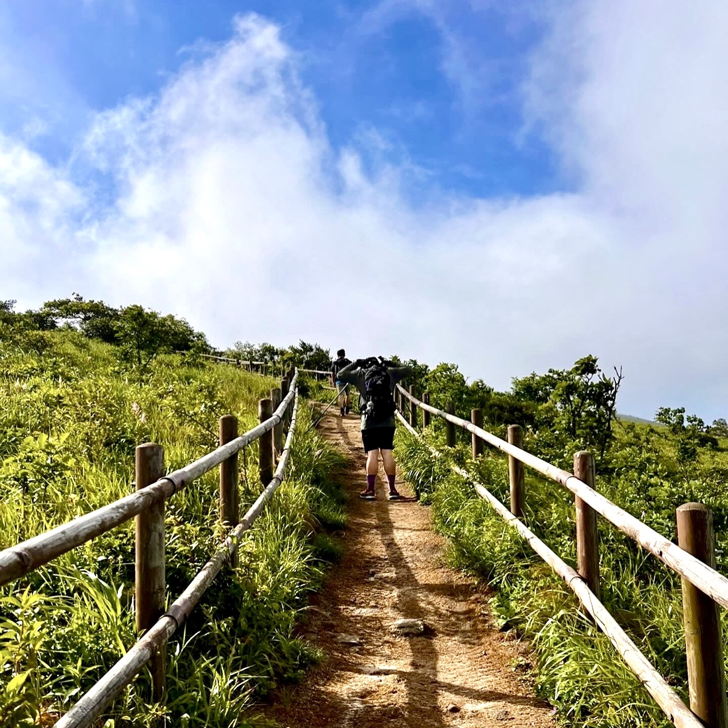 Nike ACG Mountain Fly Low Gore-Tex SE Hazel Rush 착용 스타일
