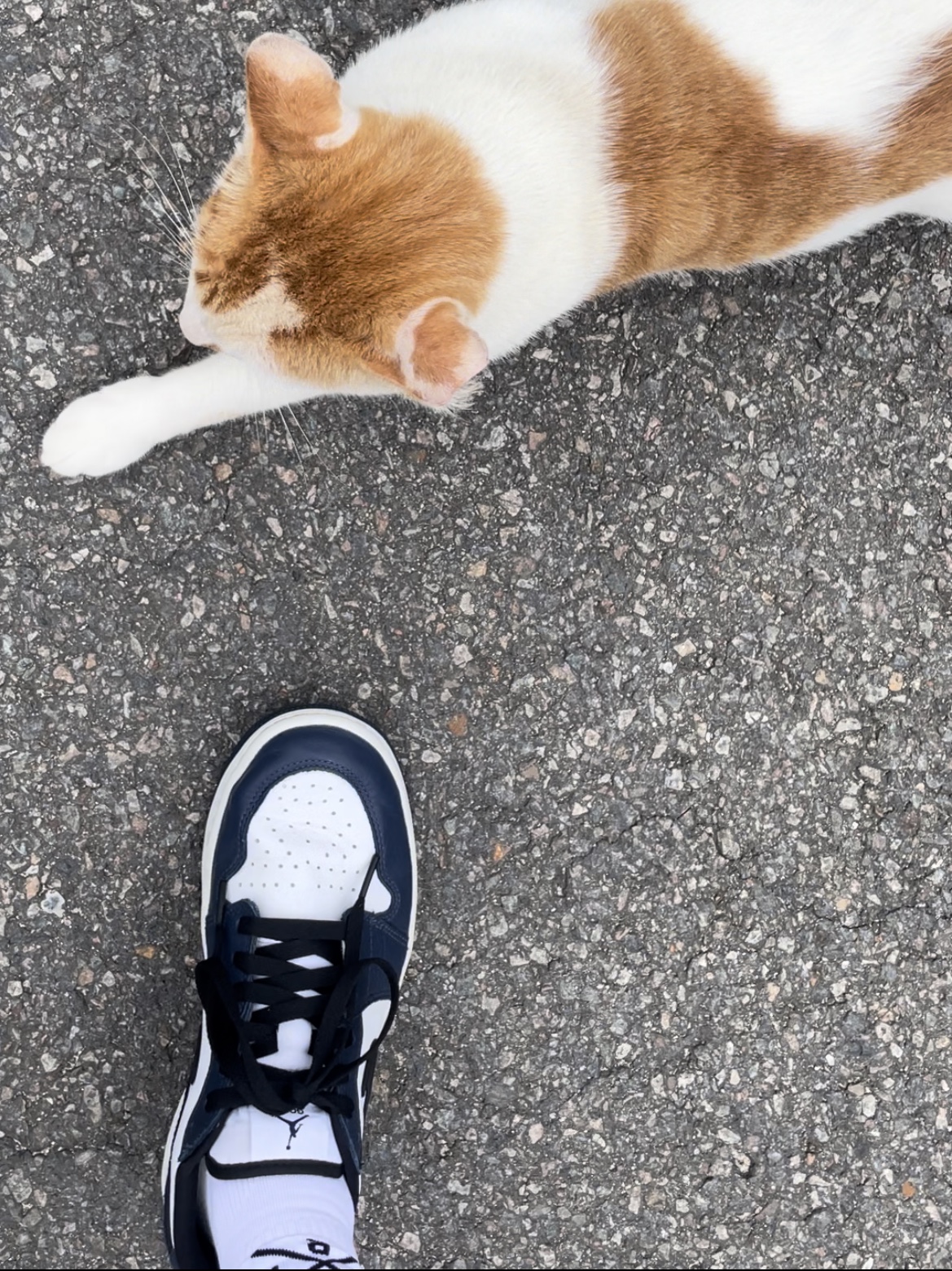 Jordan 1 Low Golf Midnight Navy 착용 스타일 - 2