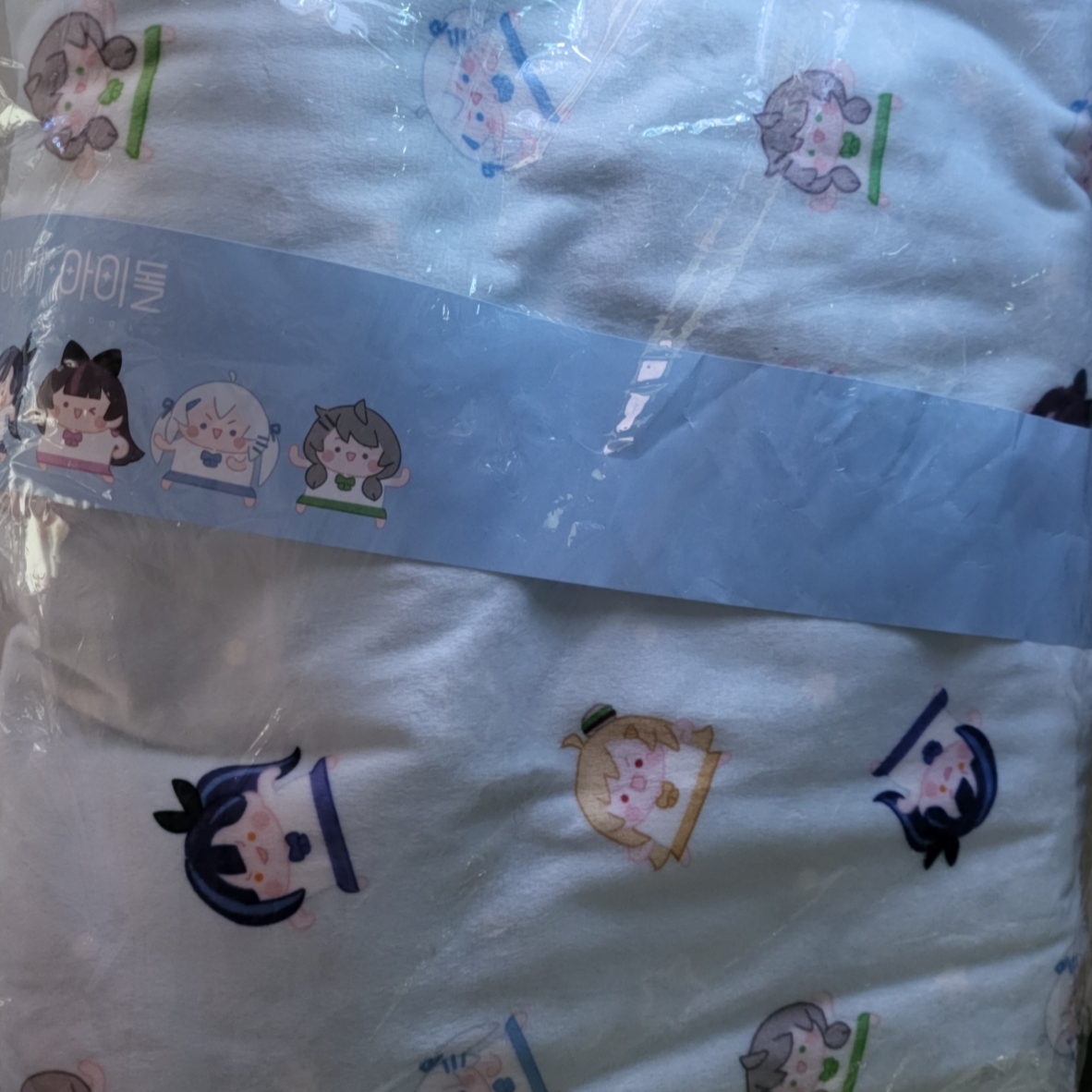 Woowakgood Isegye Idol Blanket 착용 스타일