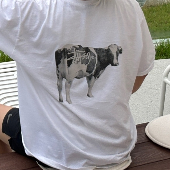 Stussy Grassfed T-Shirt White 착용 스타일
