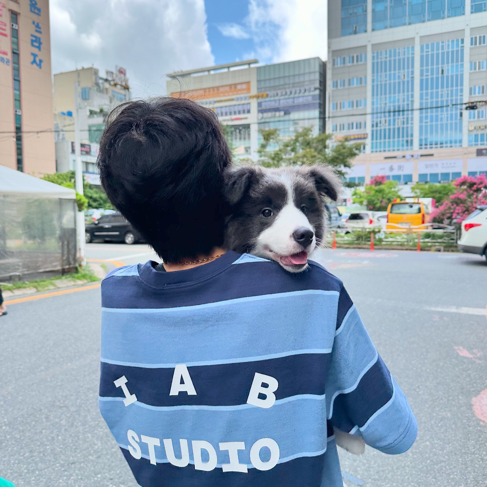 IAB Studio Striped T-Shirt Blue White 착용 스타일 - 2