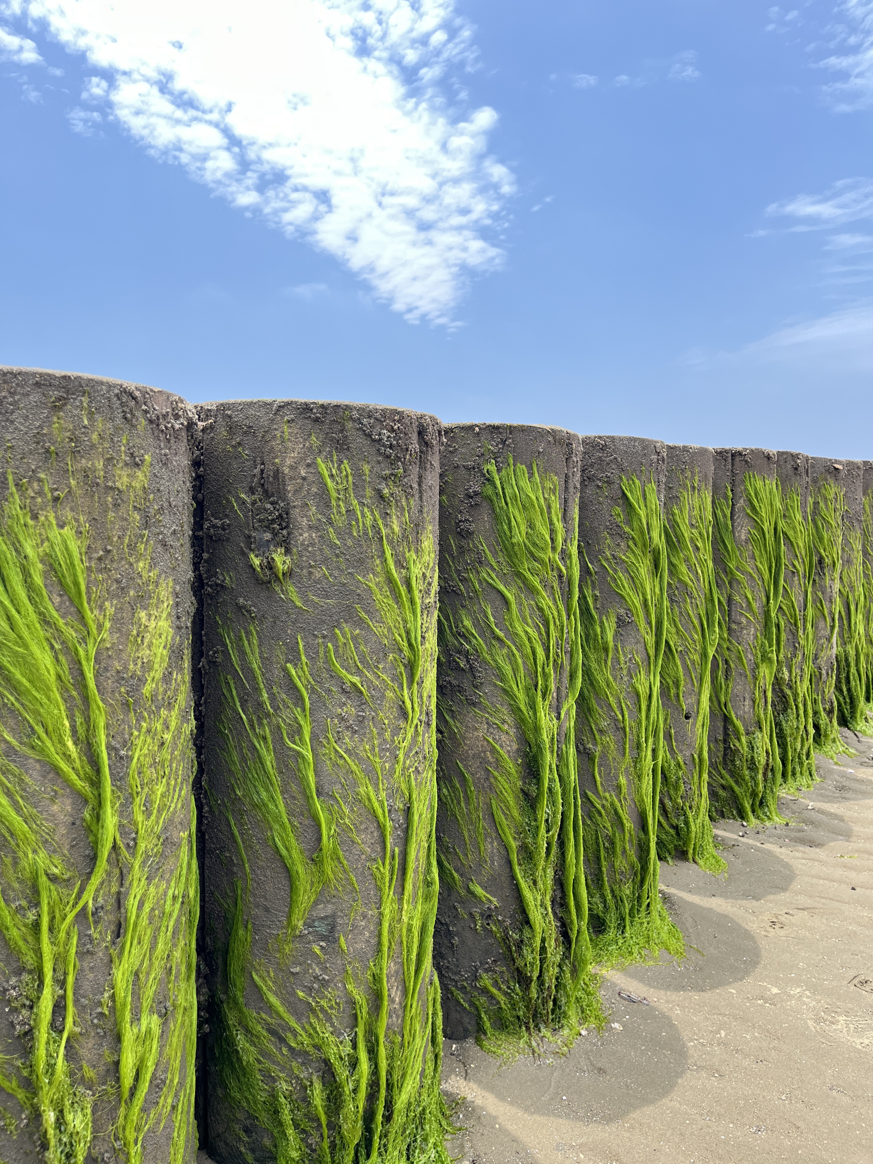 Stussy Basic Stussy T-Shirt Black 2023 착용 스타일 - 6