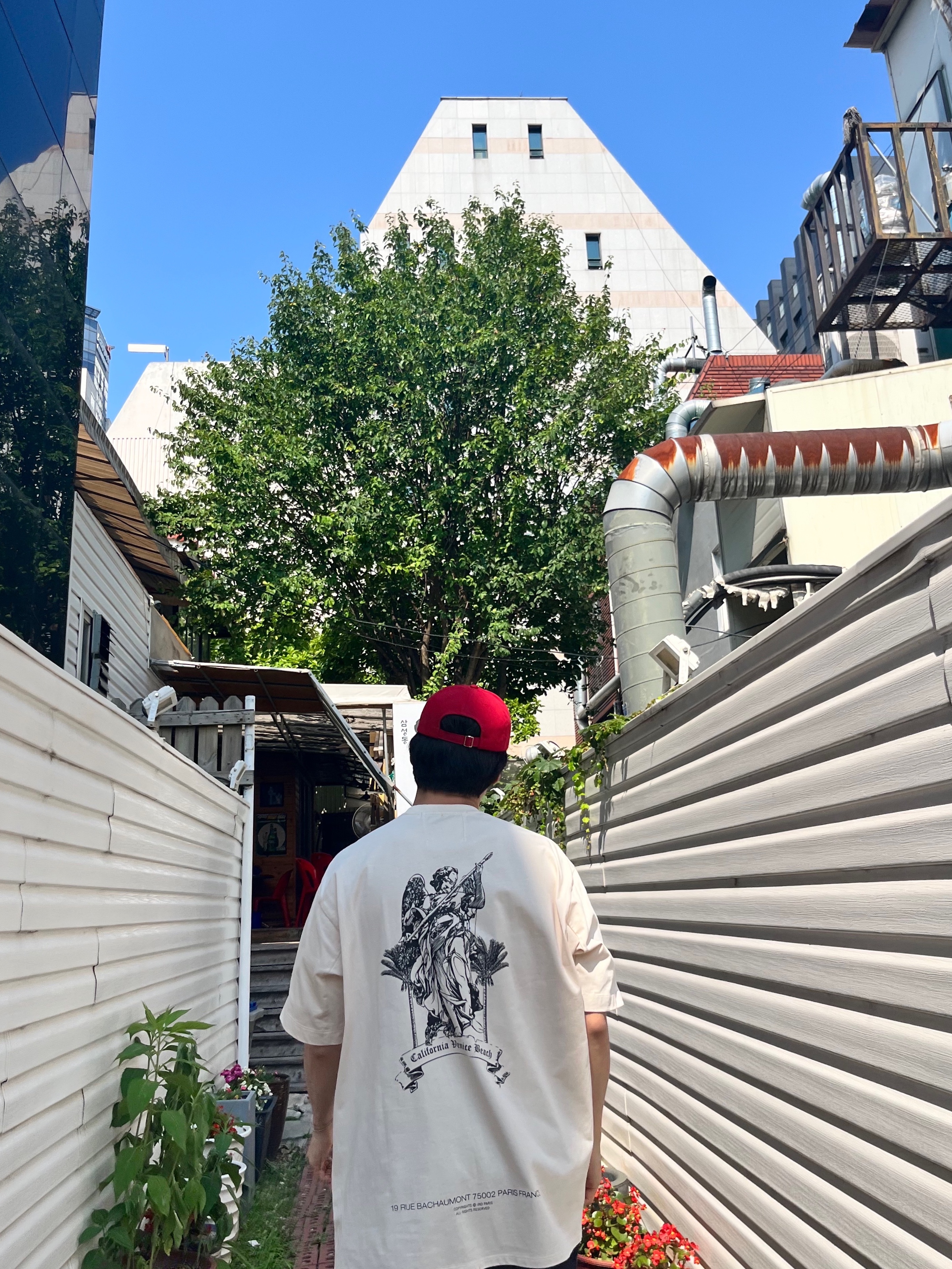 Iro Palmtree Graphic Semi Over Cotton T-Shirt Beige, Iro Club De Paris Edition Cotton Ball Cap Red 착용 스타일 - 5