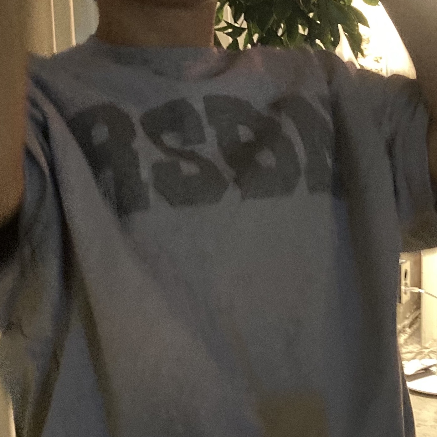 BORN TO WIN RSBN T-Shirts White 착용 스타일