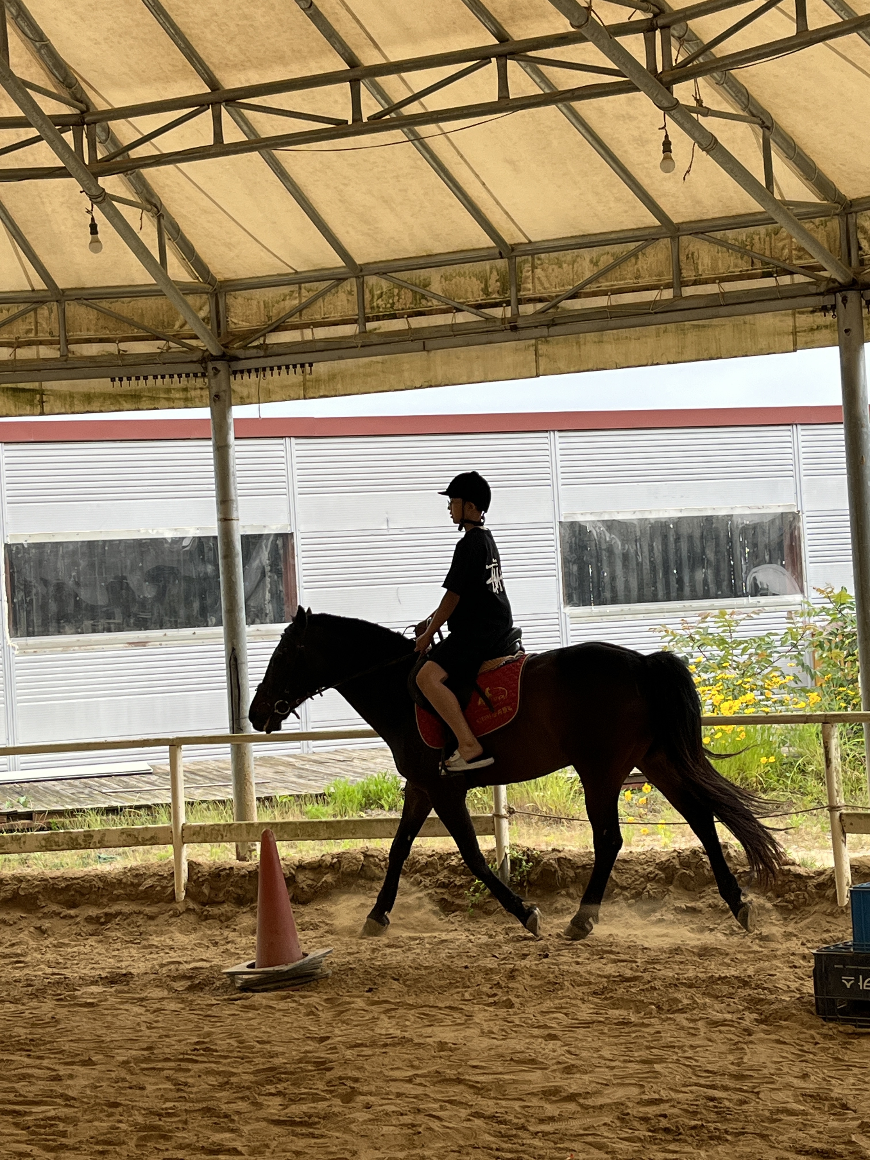 Stussy Basic Stussy T-Shirt Black 2023 착용 스타일 - 9