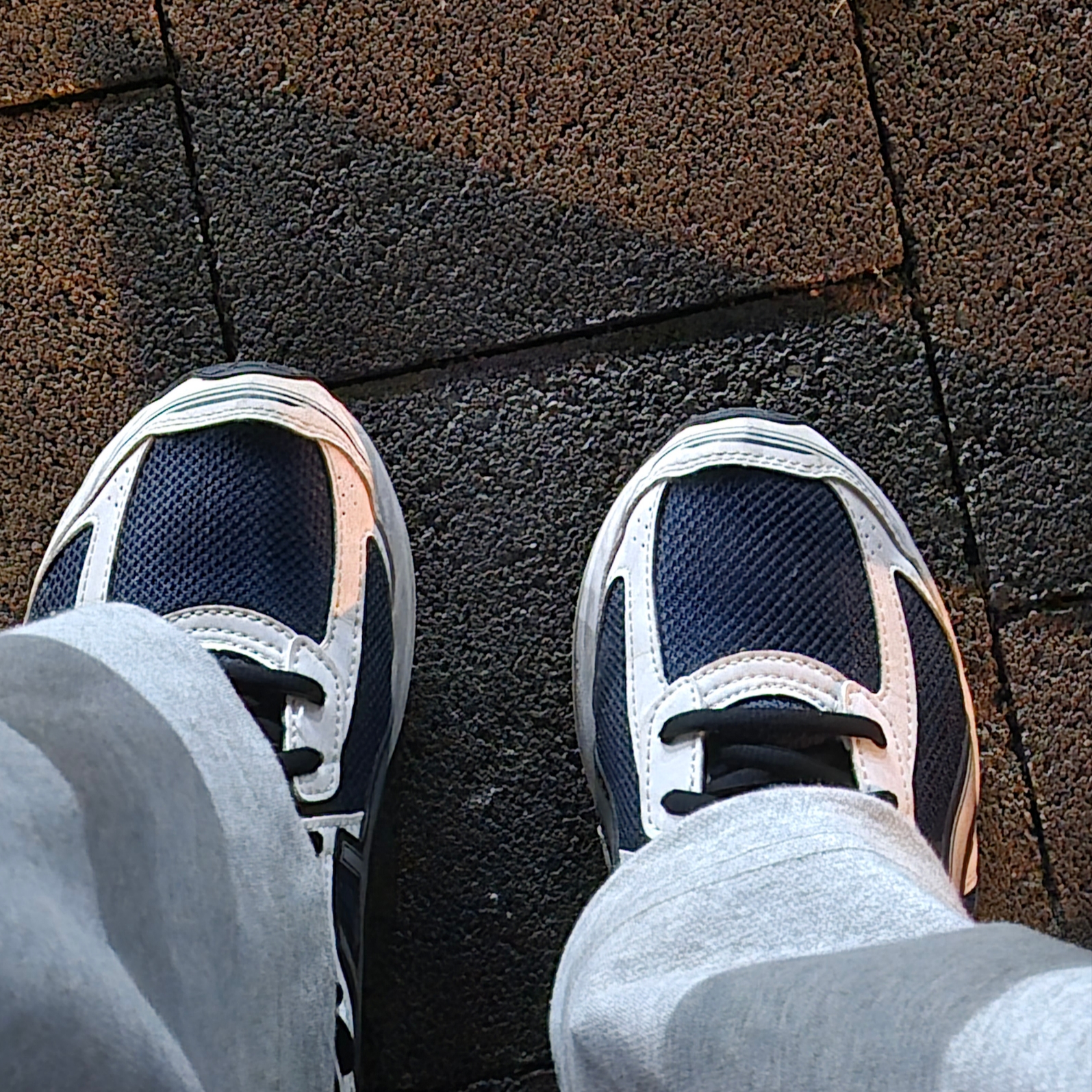 Asics Jog 100 S Navy Pure Silver - 2E Wide 착용 스타일