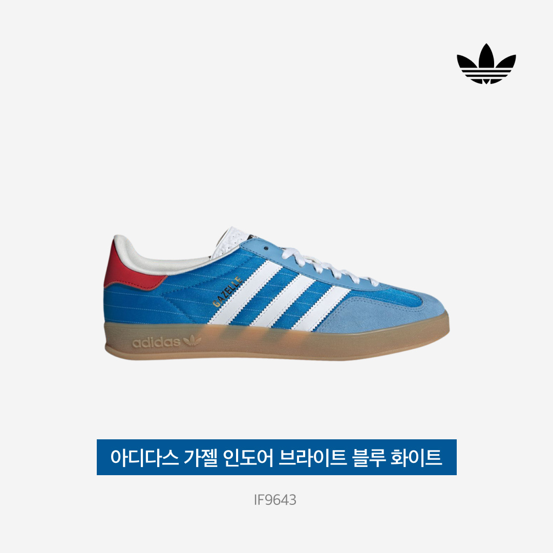 Adidas Gazelle Indoor Bright Blue Cloud White 착용 스타일 - 3
