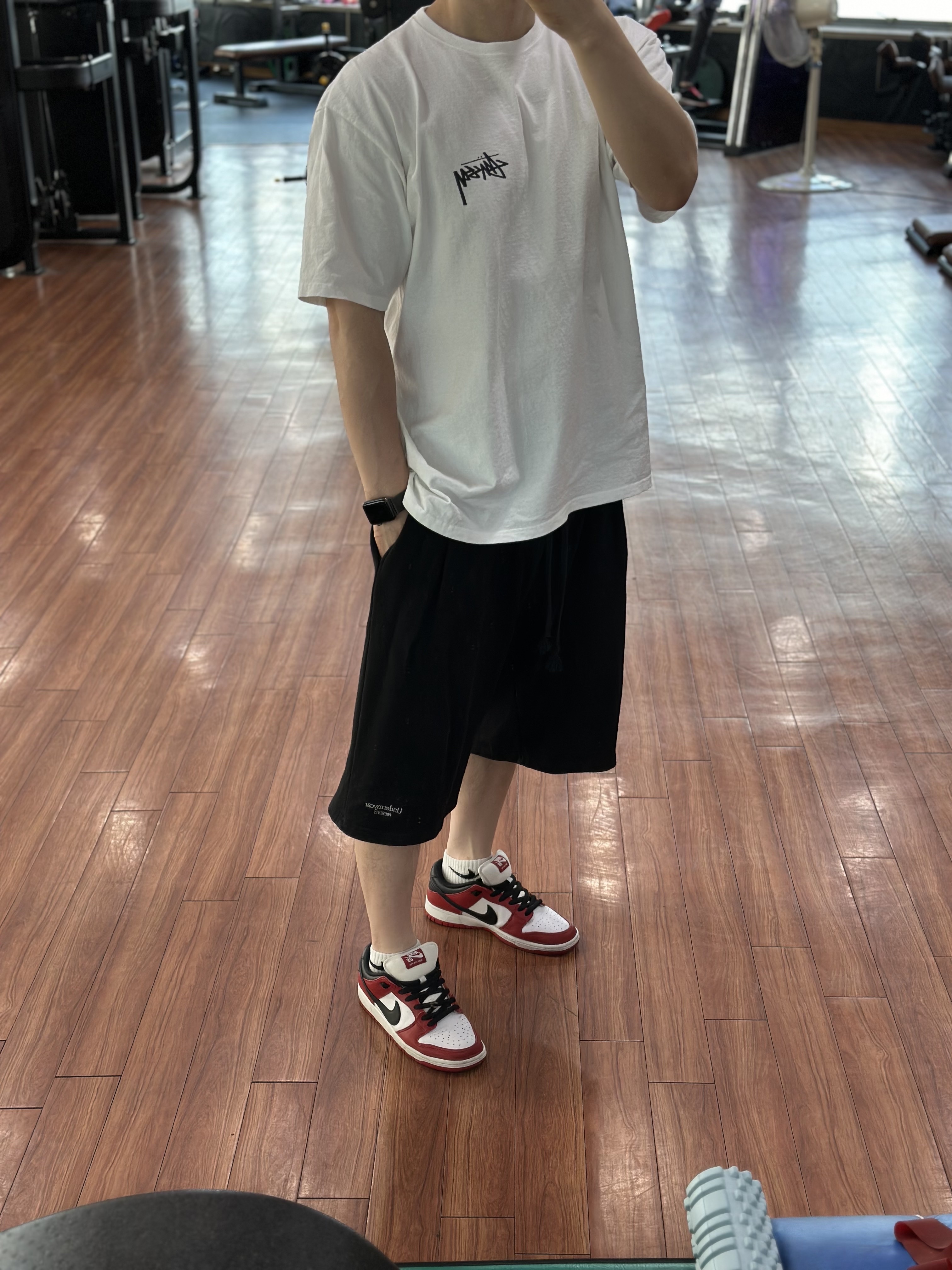 Nike SB Dunk Low Pro Chicago 착용 스타일