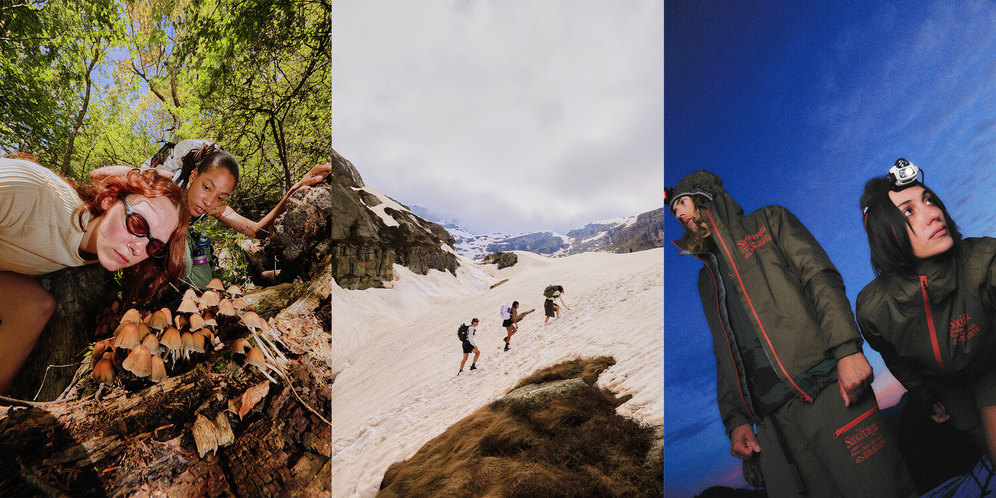 레이온 버트(Rayon Vert)