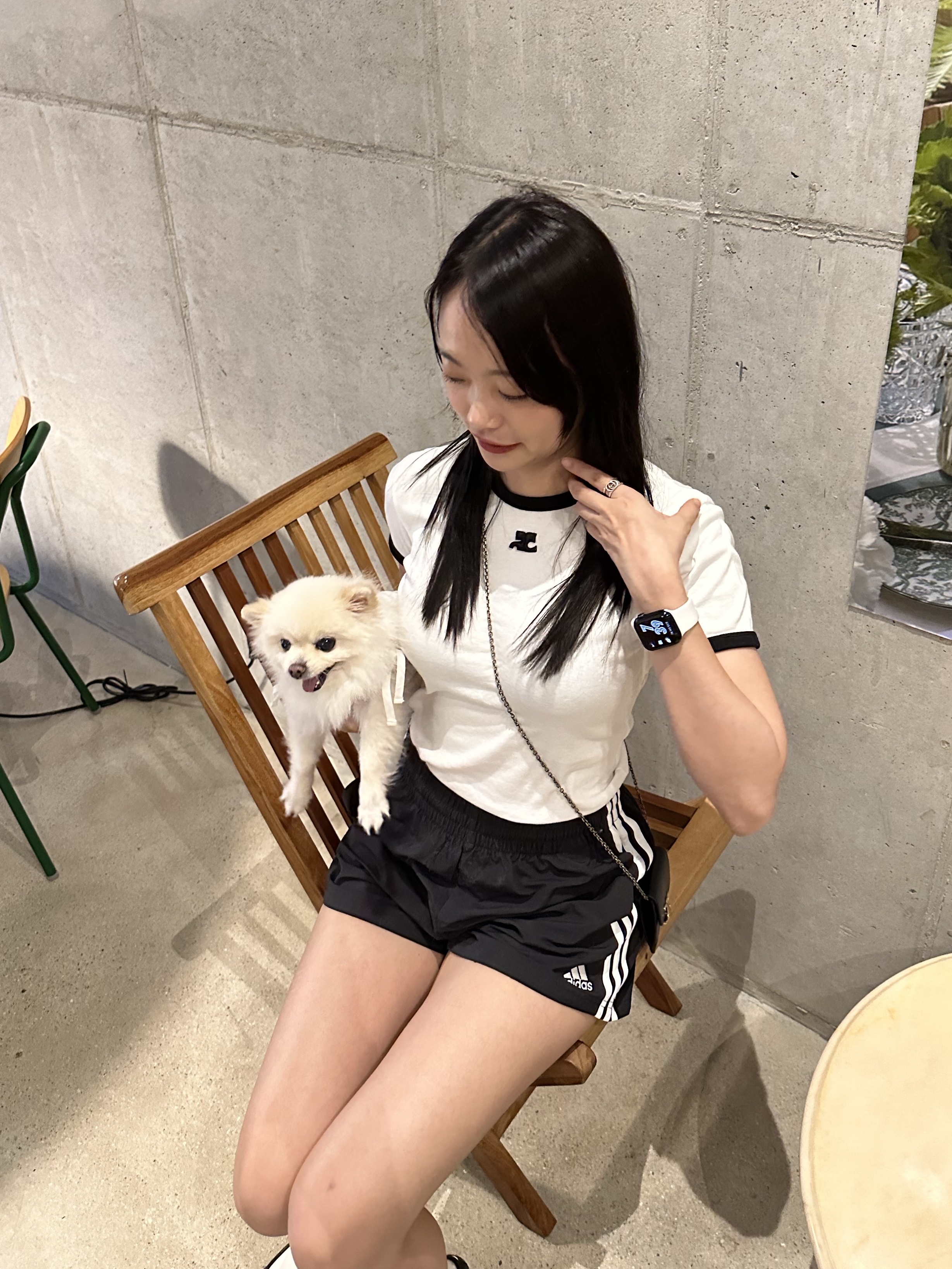 (W) Adidas 3-Stripes Woven Shorts Black - KR Sizing, Celine Card Holder with Flap in Shiny Calfskin Black 착용 스타일 - 8