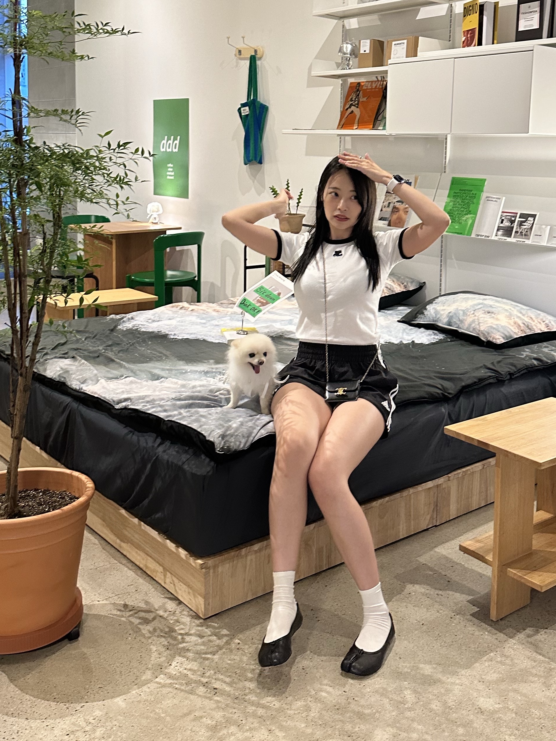 (W) Adidas 3-Stripes Woven Shorts Black - KR Sizing, Celine Card Holder with Flap in Shiny Calfskin Black 착용 스타일 - 1