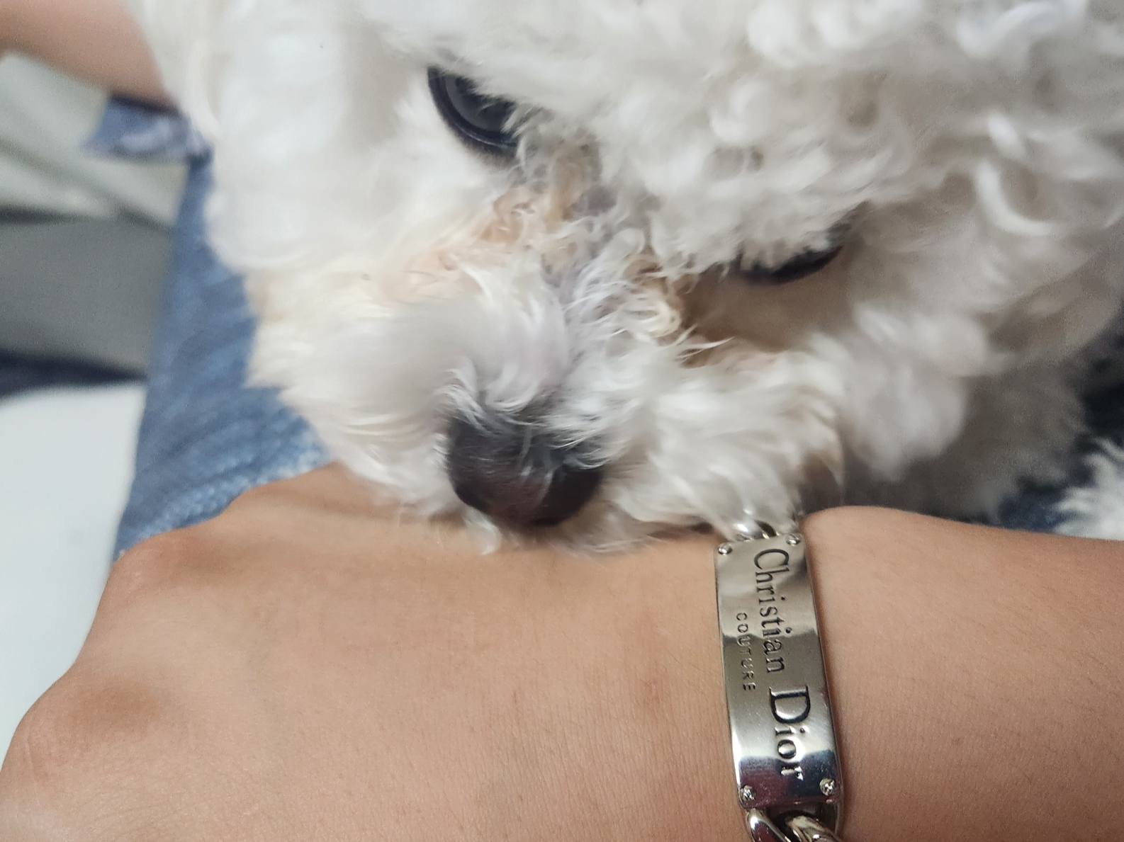Dior Christian Dior Couture Chain Link Bracelet Silver Finish Brass 착용 스타일