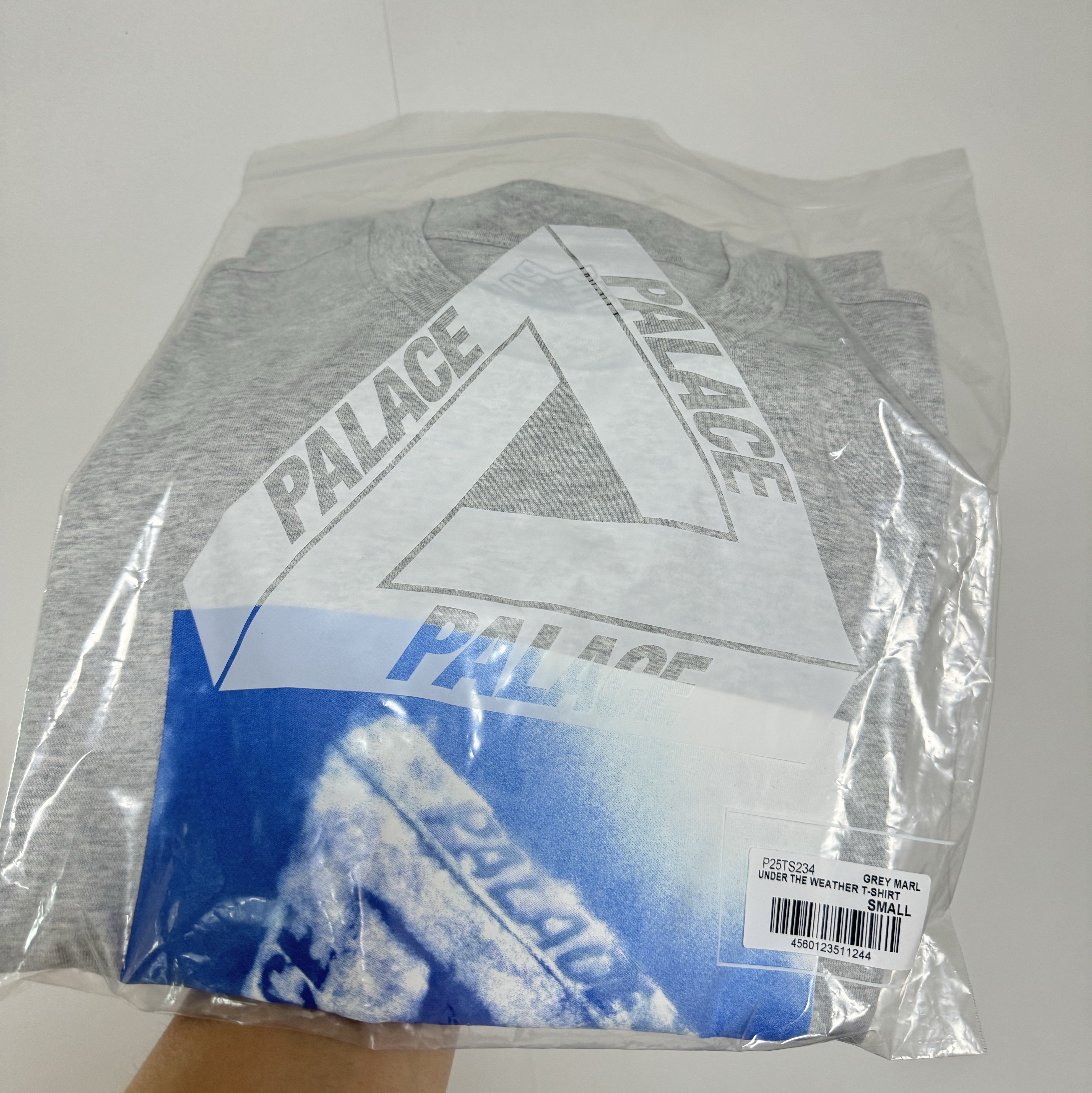 Palace Under The Weather T-Shirt Grey Marl - 23FW 착용 스타일