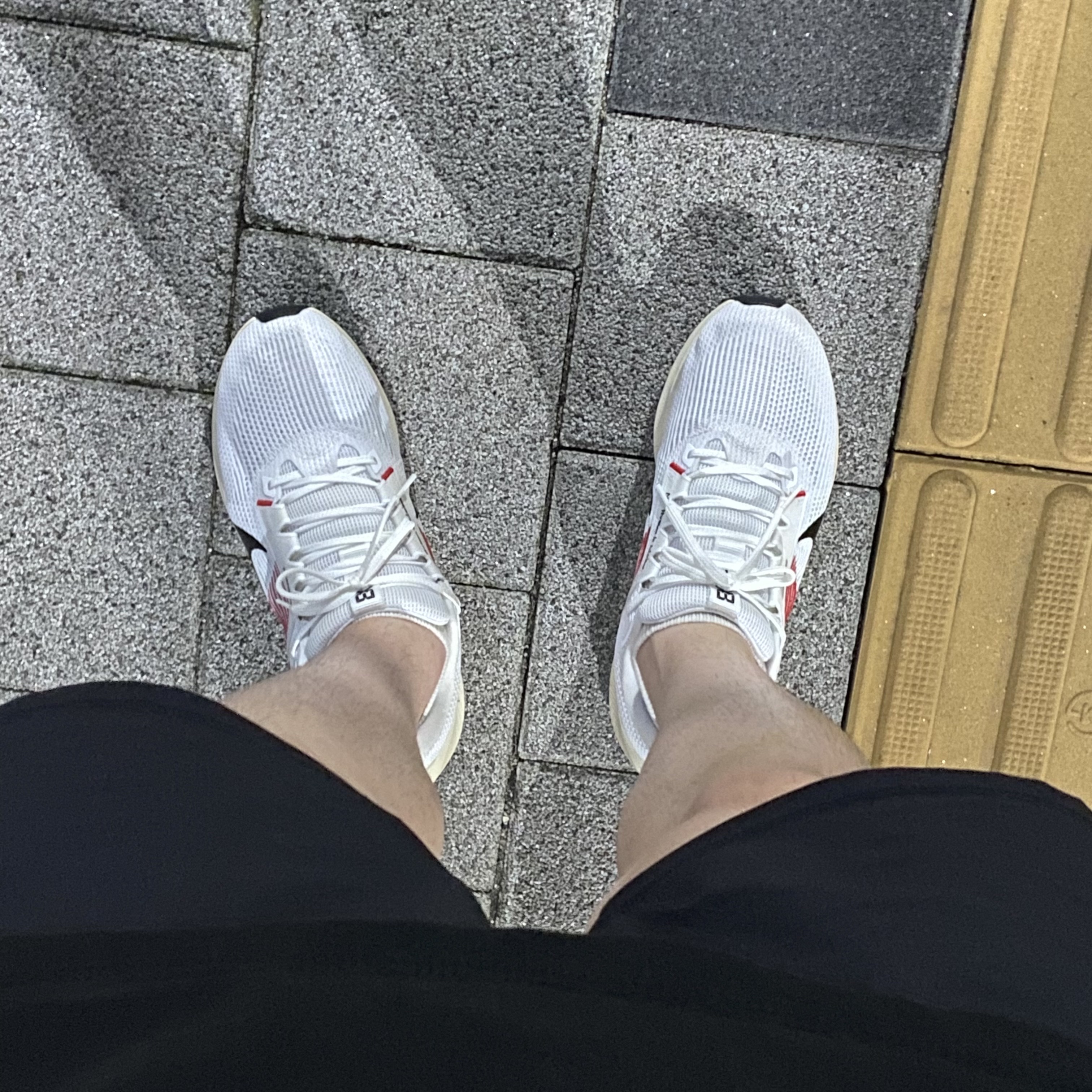 Nike Air Zoom Pegasus 40 Eliud Kipchoge 착용 스타일 - 1