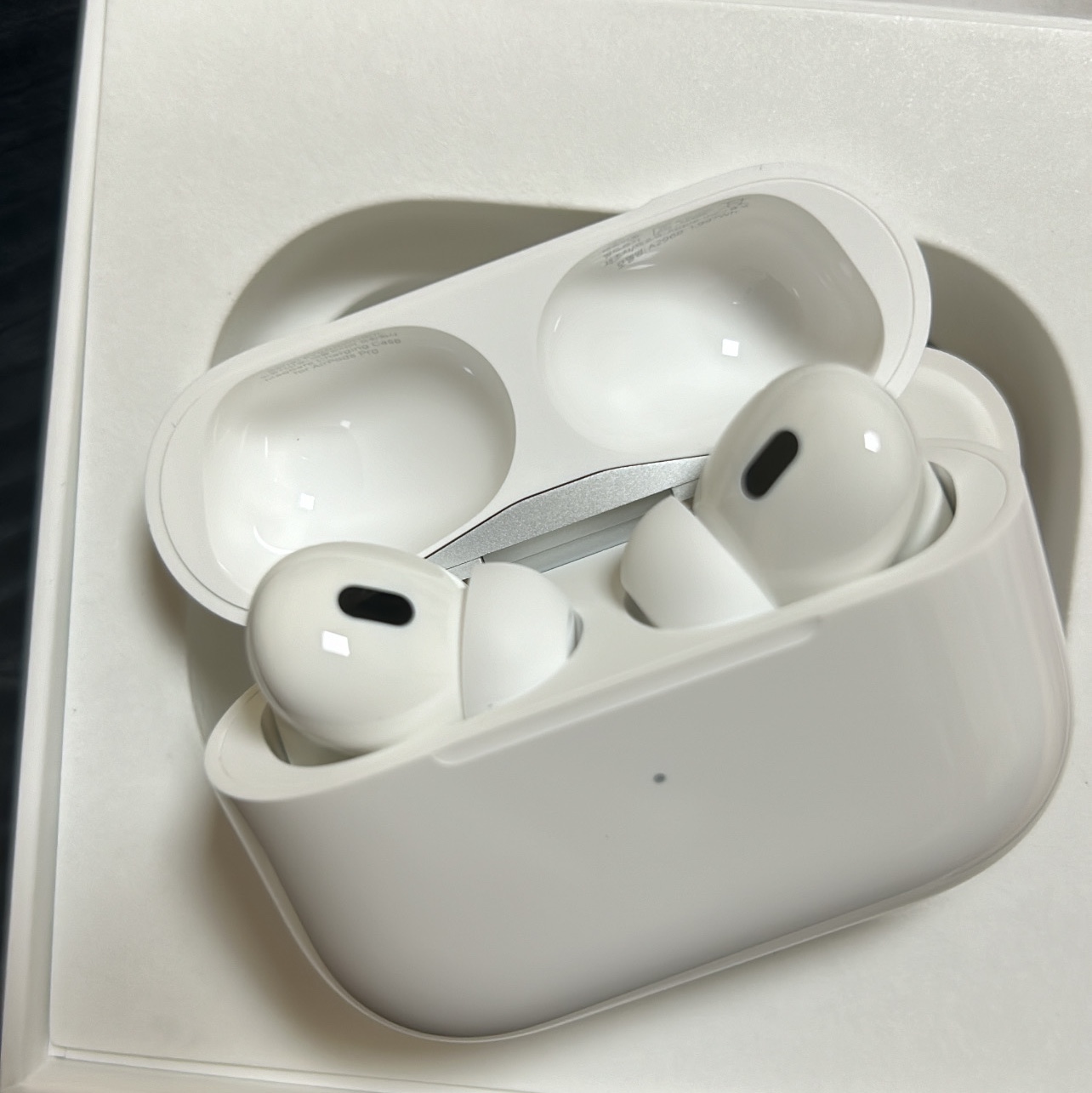 Apple Airpods Pro 2nd Gen with MagSafe Charging Case USB C (Korean Ver.) 착용 스타일
