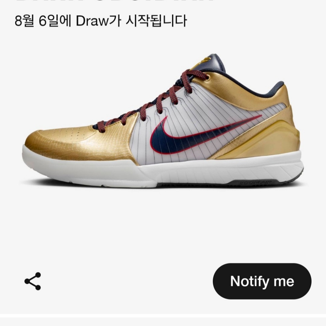 Nike Kobe 4 Protro Girl Dad 착용 스타일