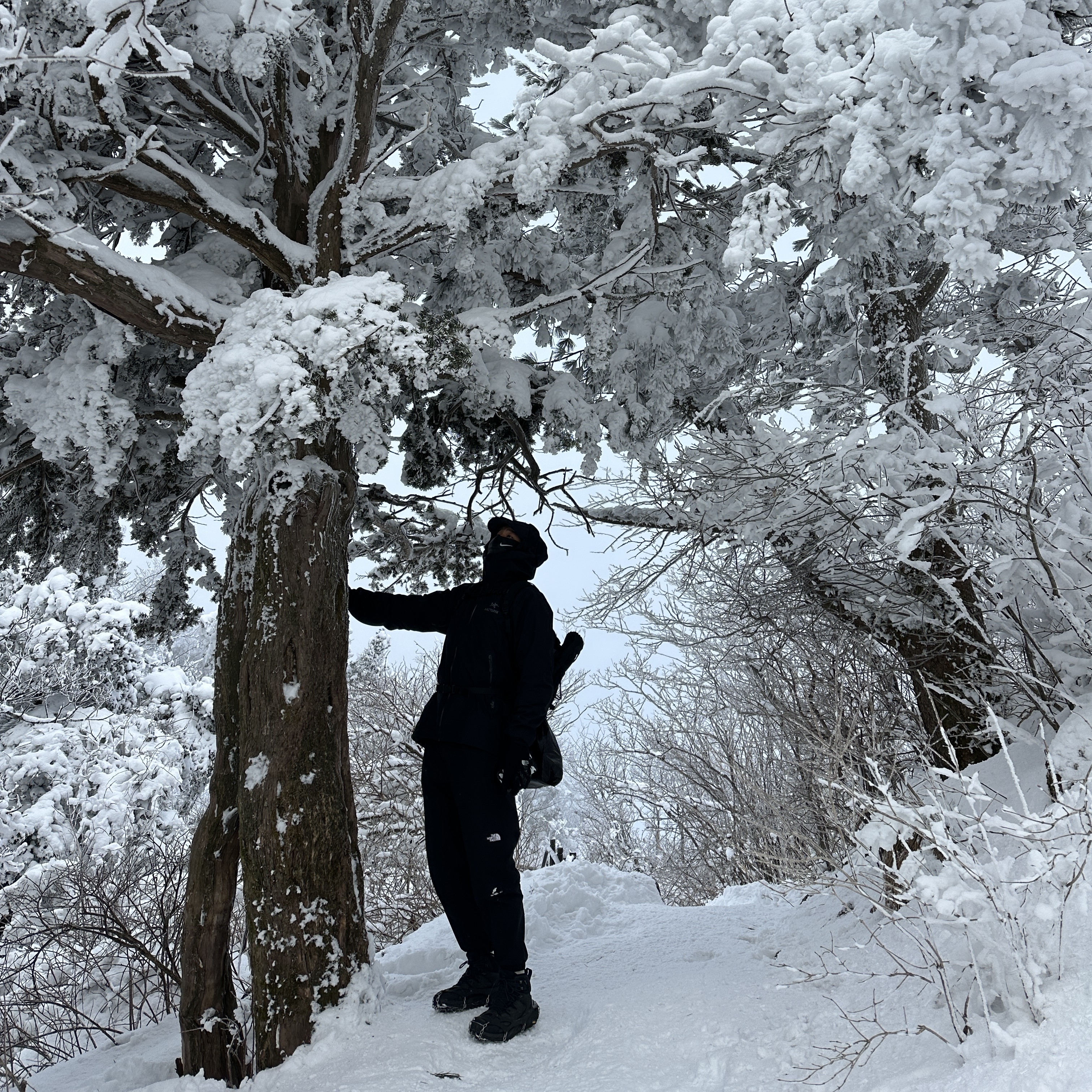 Arc'teryx Beta LT Jacket Black, Hoka Kaha 2 Gore-Tex Black 착용 스타일