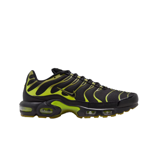 Nike Air Max Plus Black Pacific Moss