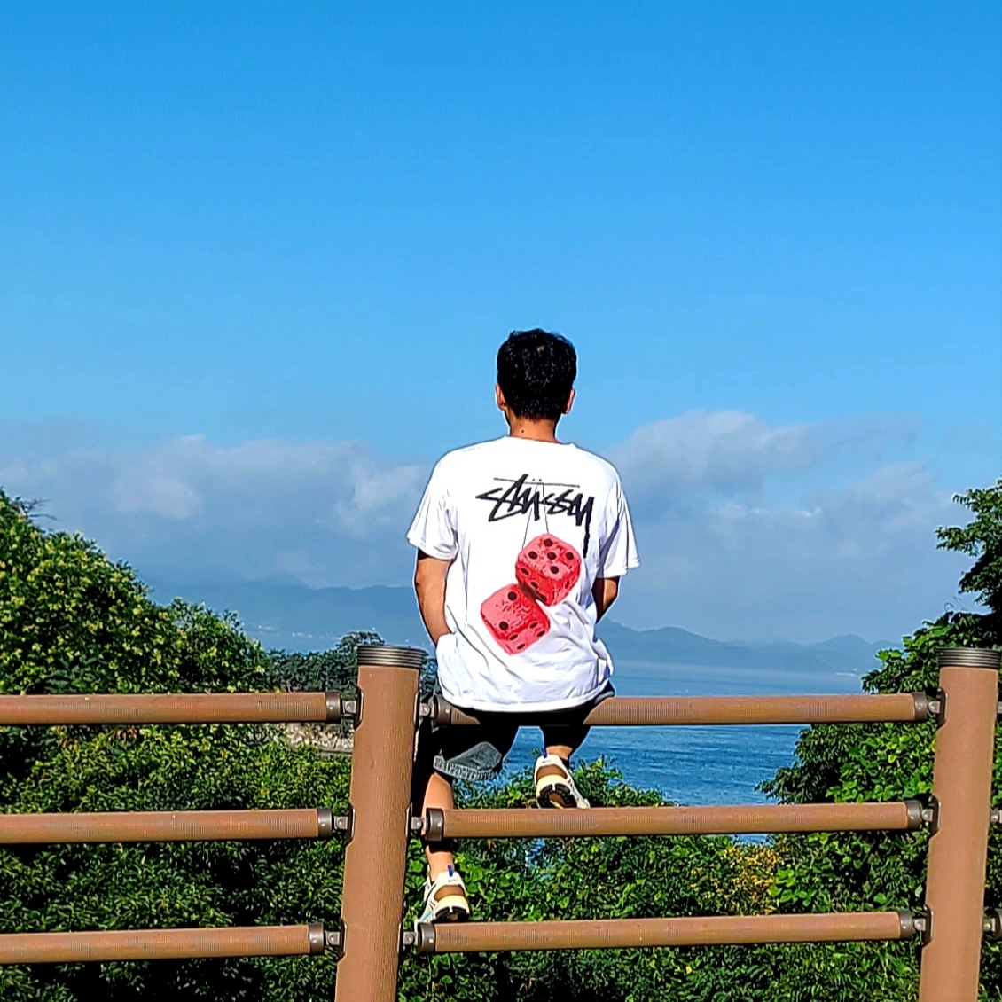 Stussy Fuzzy Dice T-Shirt White 착용 스타일