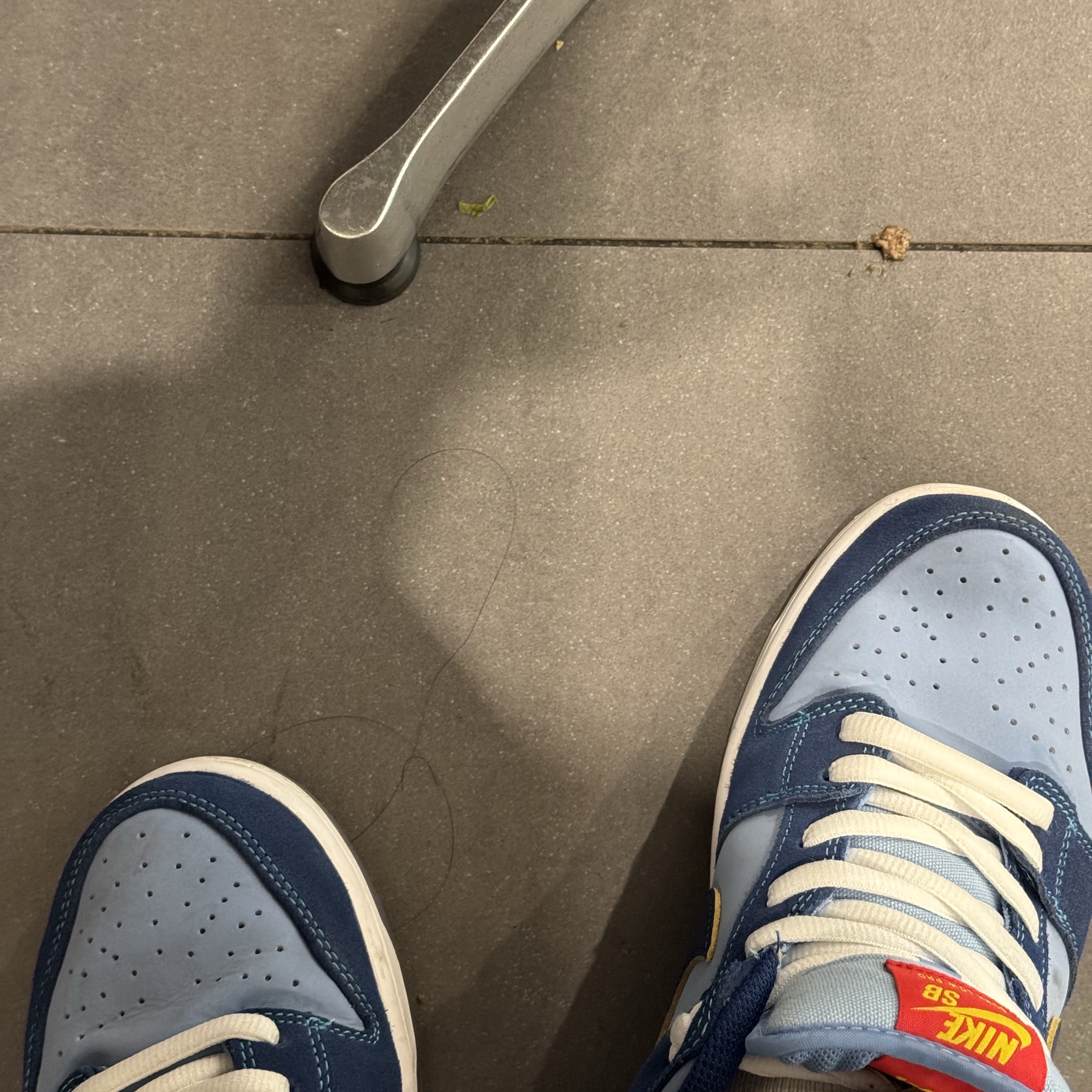 Nike x Why So Sad? SB Dunk Low Pro Coastal Blue 착용 스타일