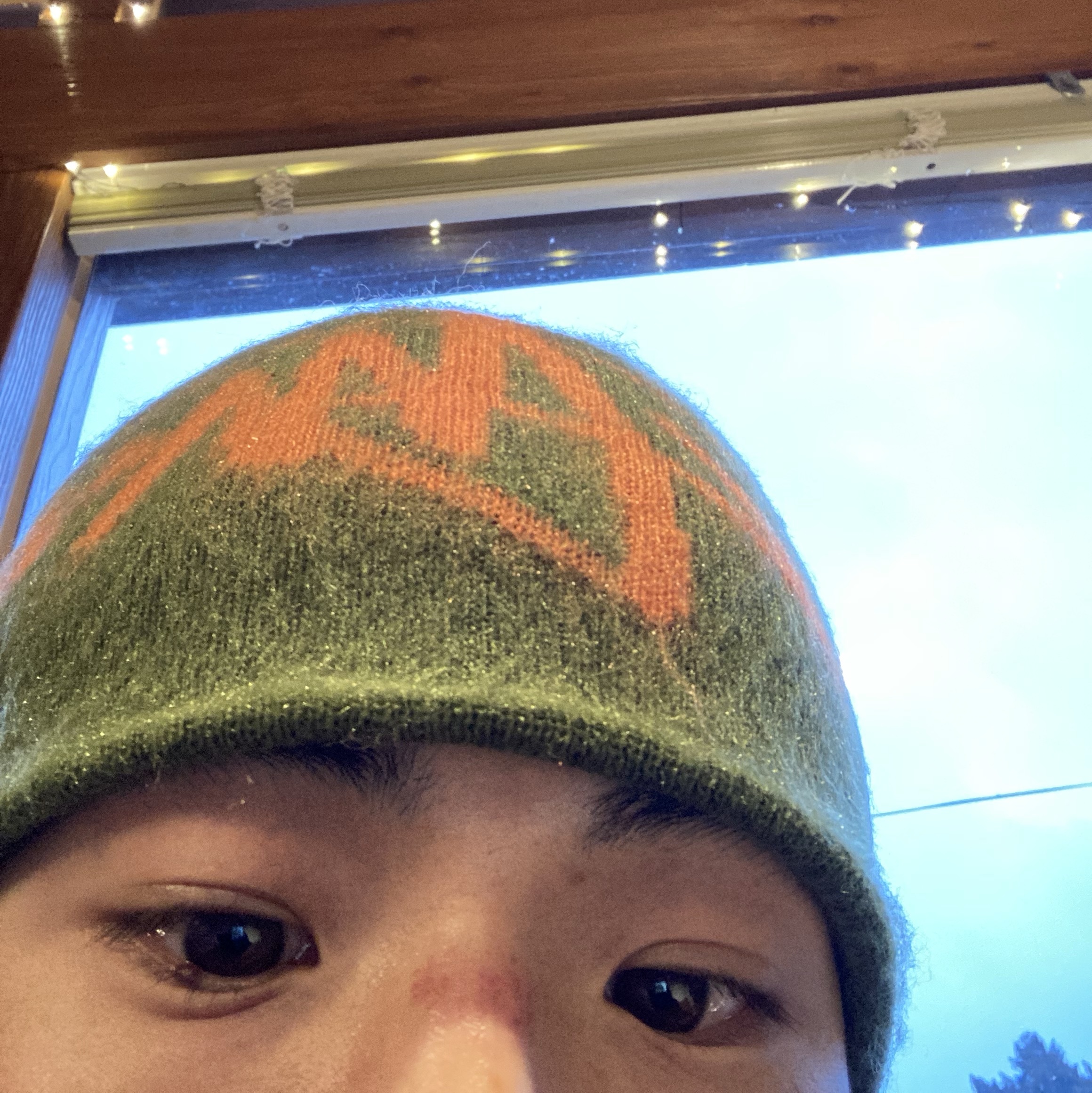 Stussy Brushed Out Stock Skullcap Beanie Olive 착용 스타일