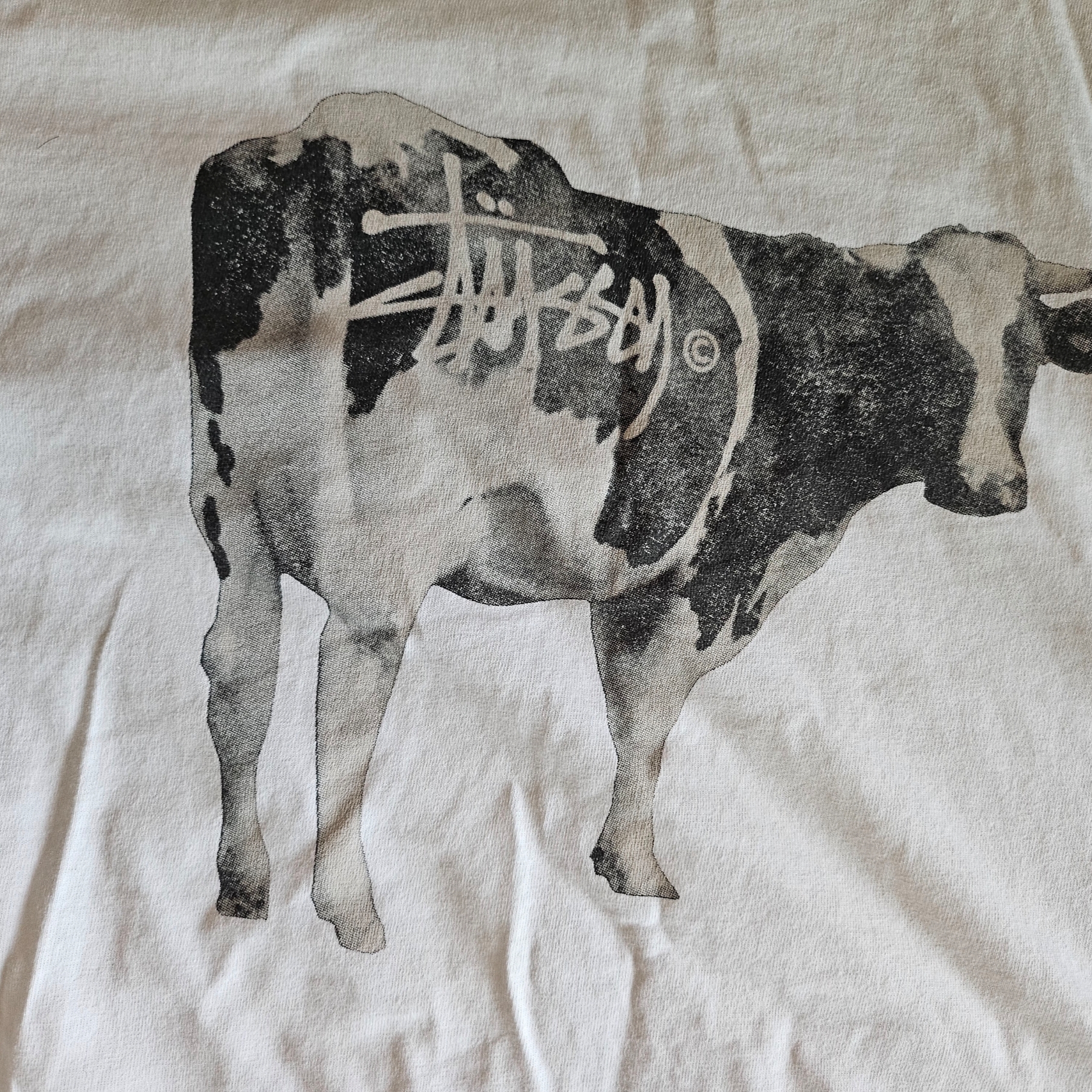 Stussy Grassfed T-Shirt White 착용 스타일