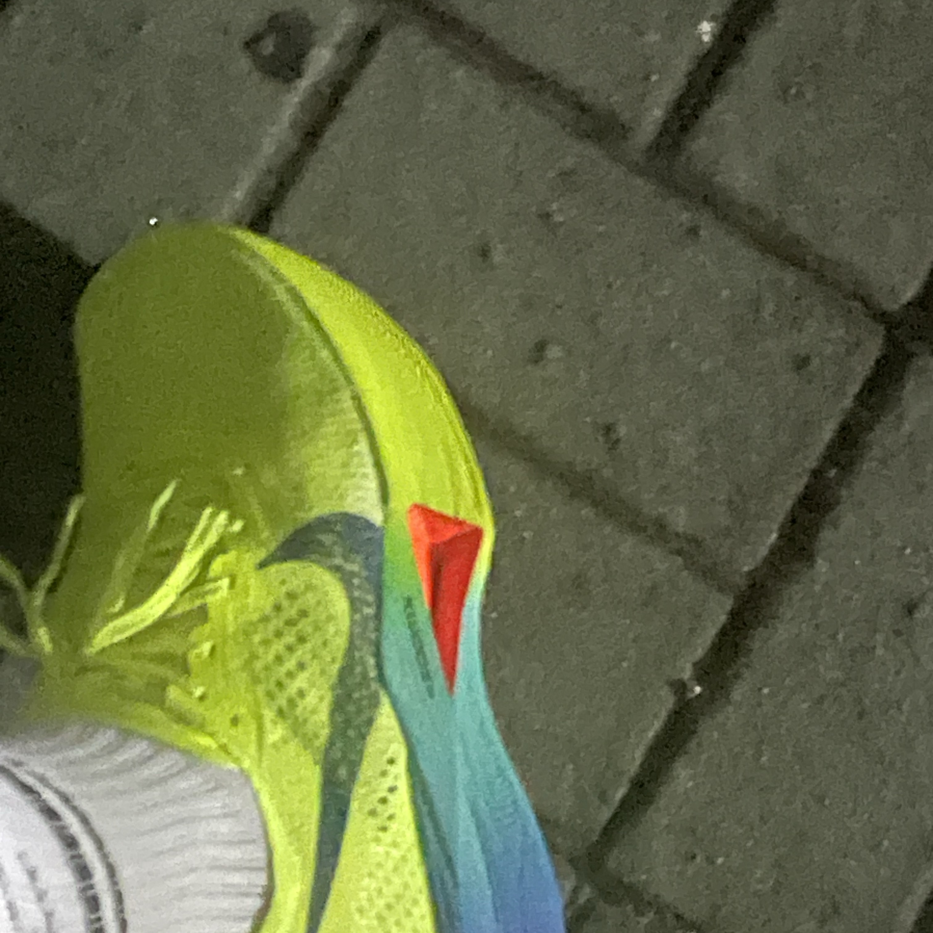 Nike ZoomX Vaporfly Next% 3 Volt Scream Green 착용 스타일
