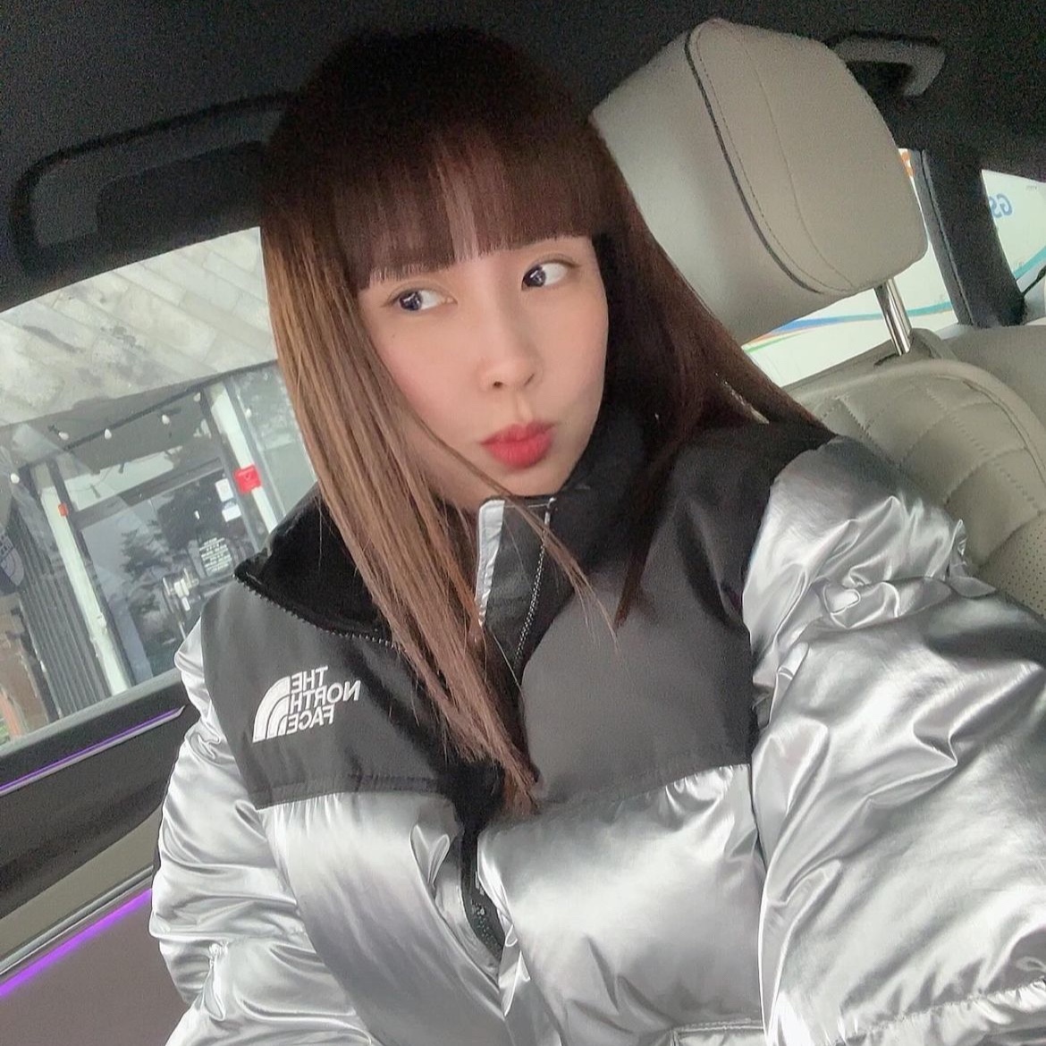 (W) The North Face White Label Novelty Nuptse Down Jacket SE Silver 착용 스타일
