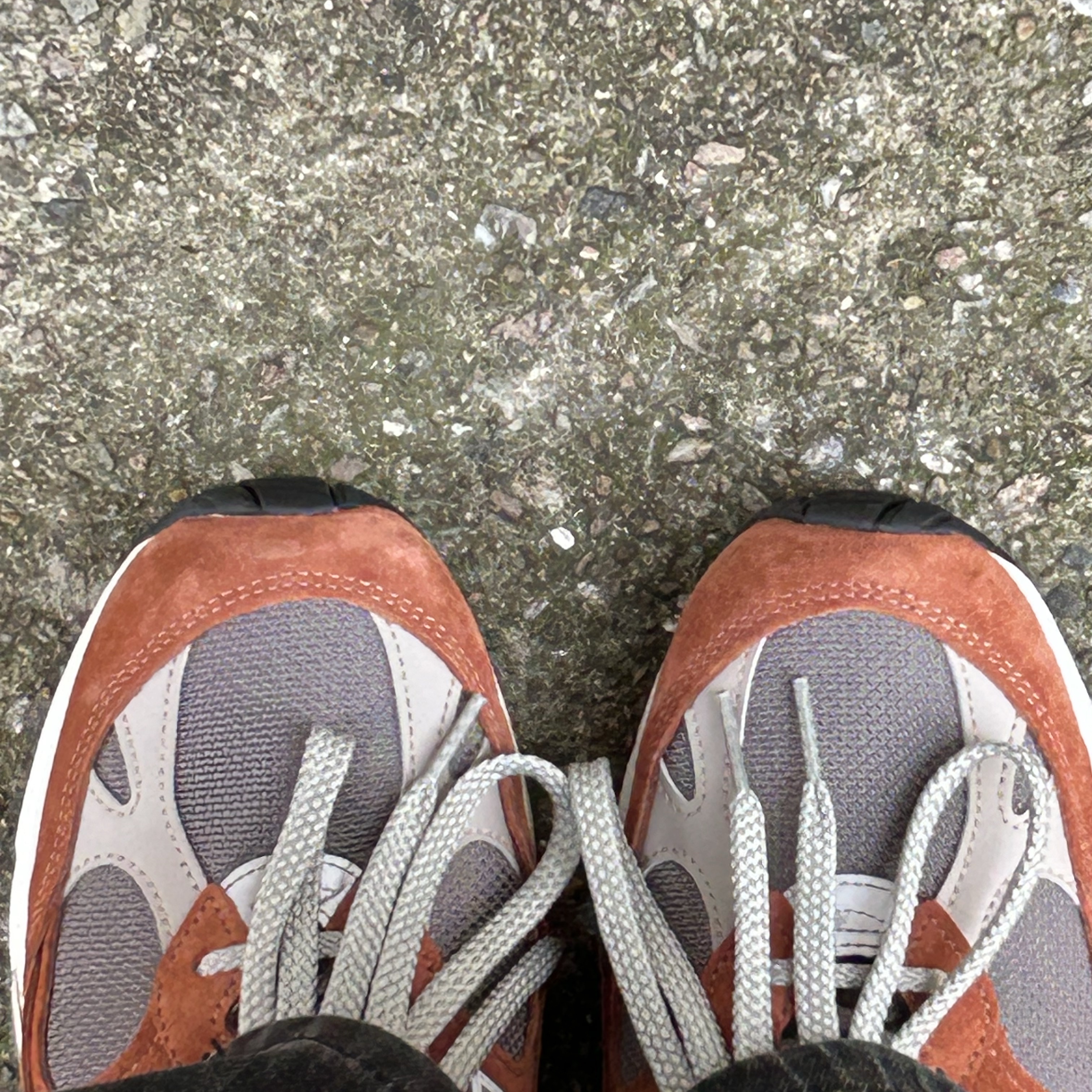 New Balance 991 Made in UK Sequoia Falcon 착용 스타일 - 1