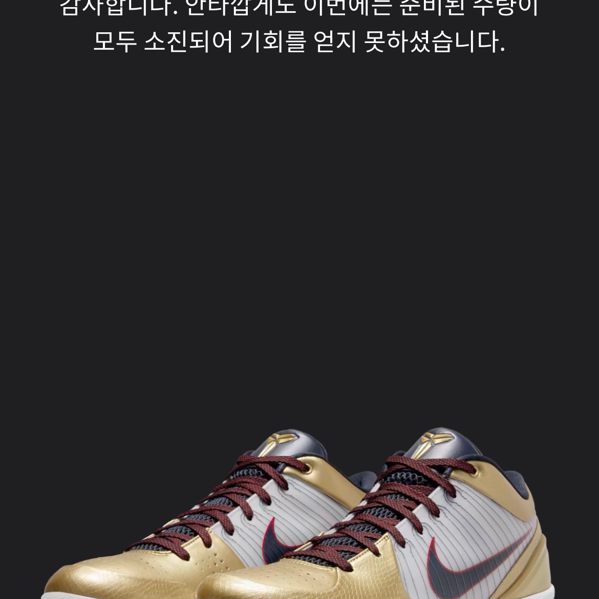 Nike Kobe 4 Protro Metallic Gold and Dark Obsidian 착용 스타일