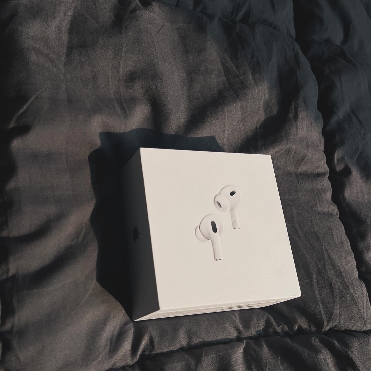 Apple Airpods Pro 2nd Gen with MagSafe Charging Case USB C (Korean Ver.) 착용 스타일