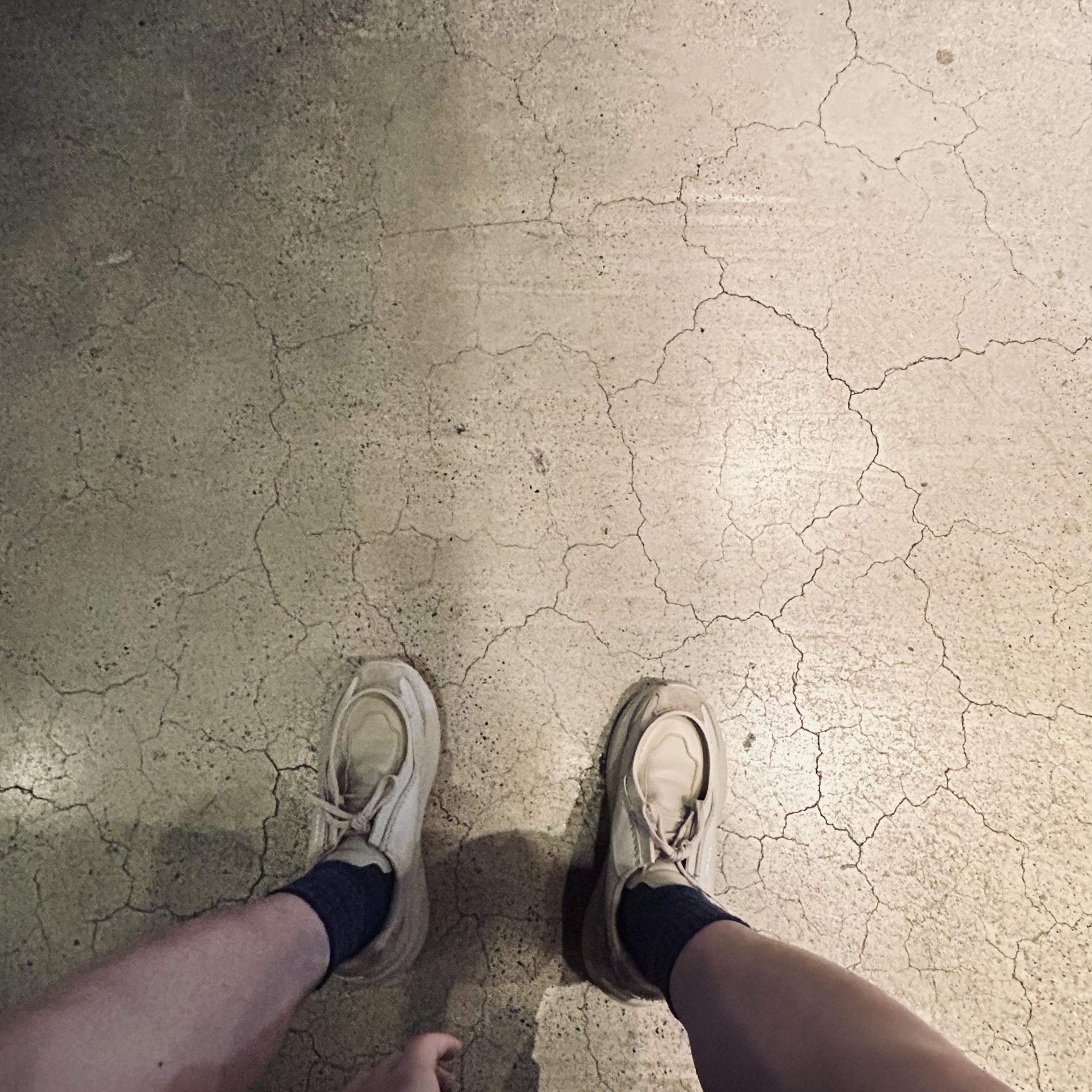 프레디깁스는 인간문화재님의 스타일 - 1