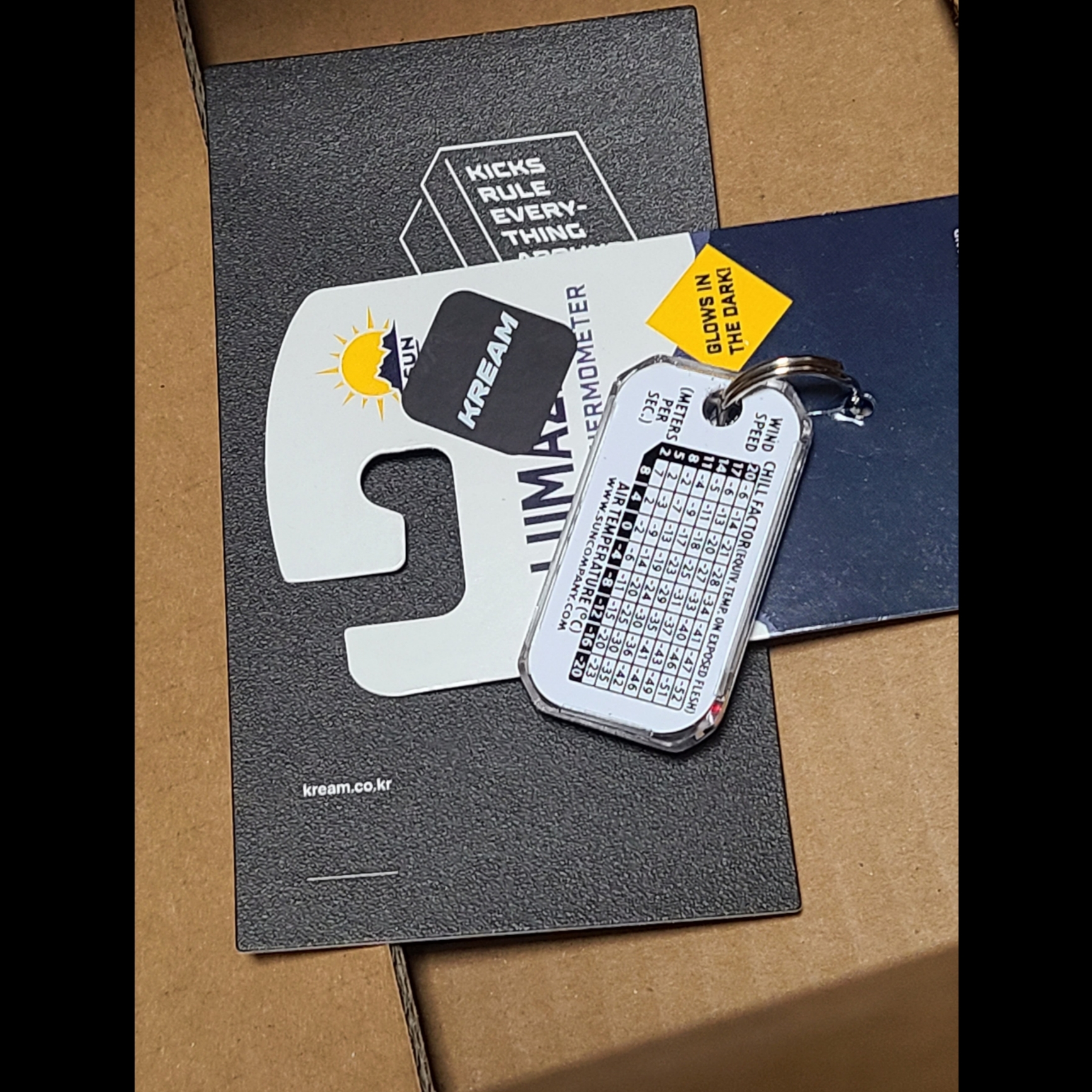 Helinox 15th Anniversary Zipperpull Thermometer Lumazip Black Light Stored 착용 스타일 - 2