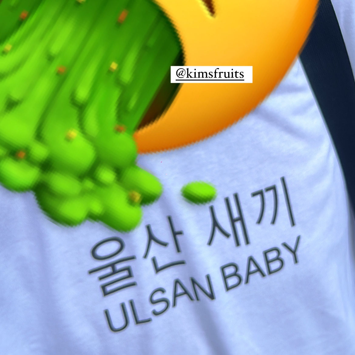[KREAM 단독] Kims Fruits Ulsan Baby 착용 스타일