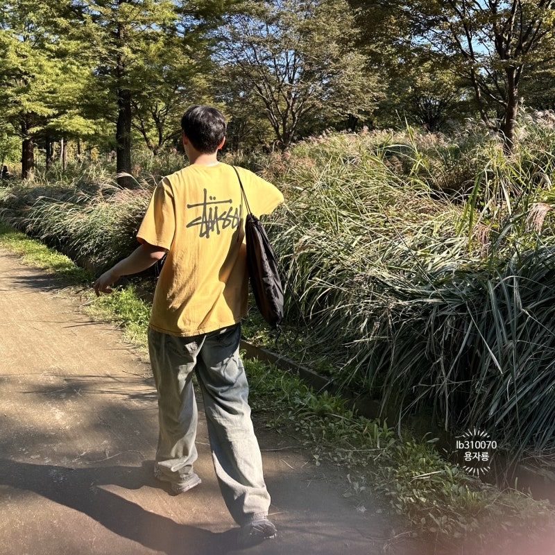 Stussy Basic Stussy Pigment Dyed T-Shirt Honey 2023, Balenciaga 3XL Sneakers Beige 착용 스타일